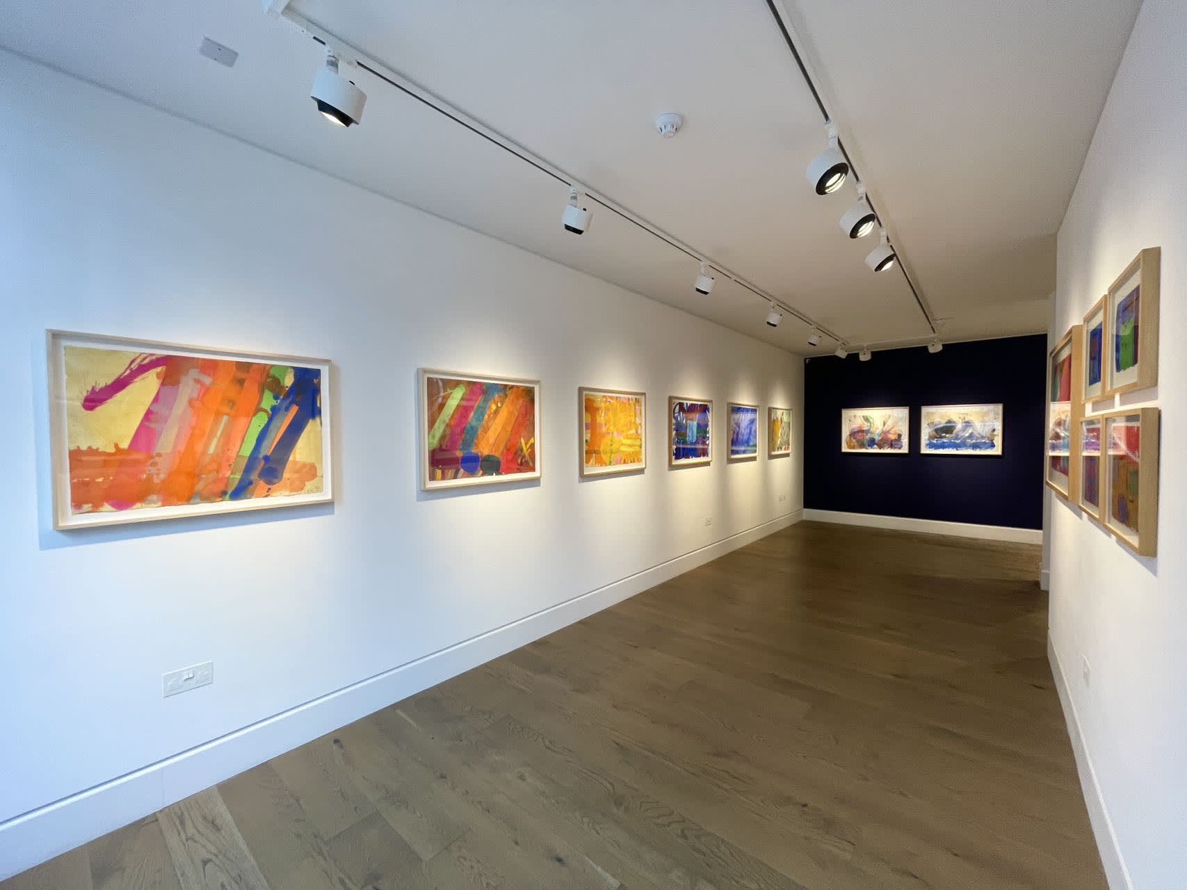 Albert Irvin: The Art of Water