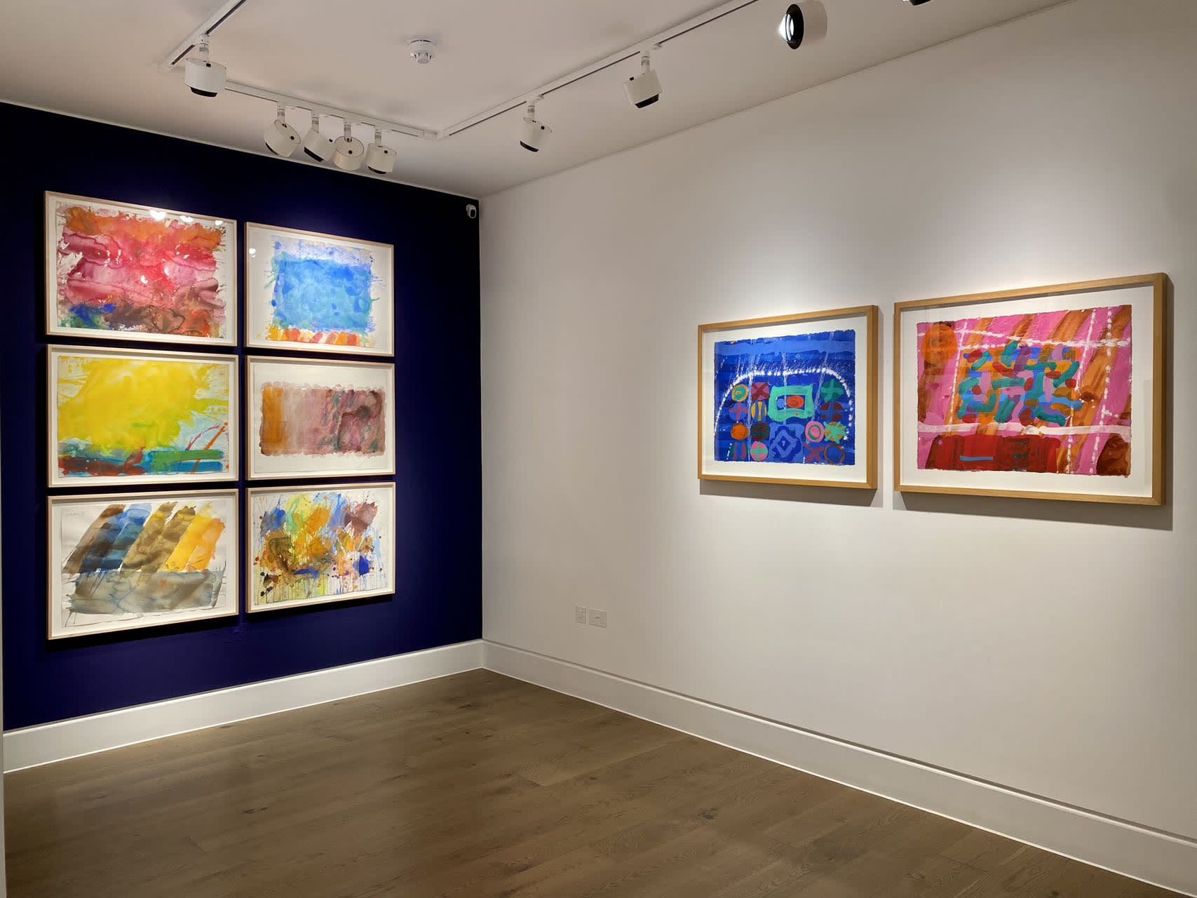 Albert Irvin: The Art of Water