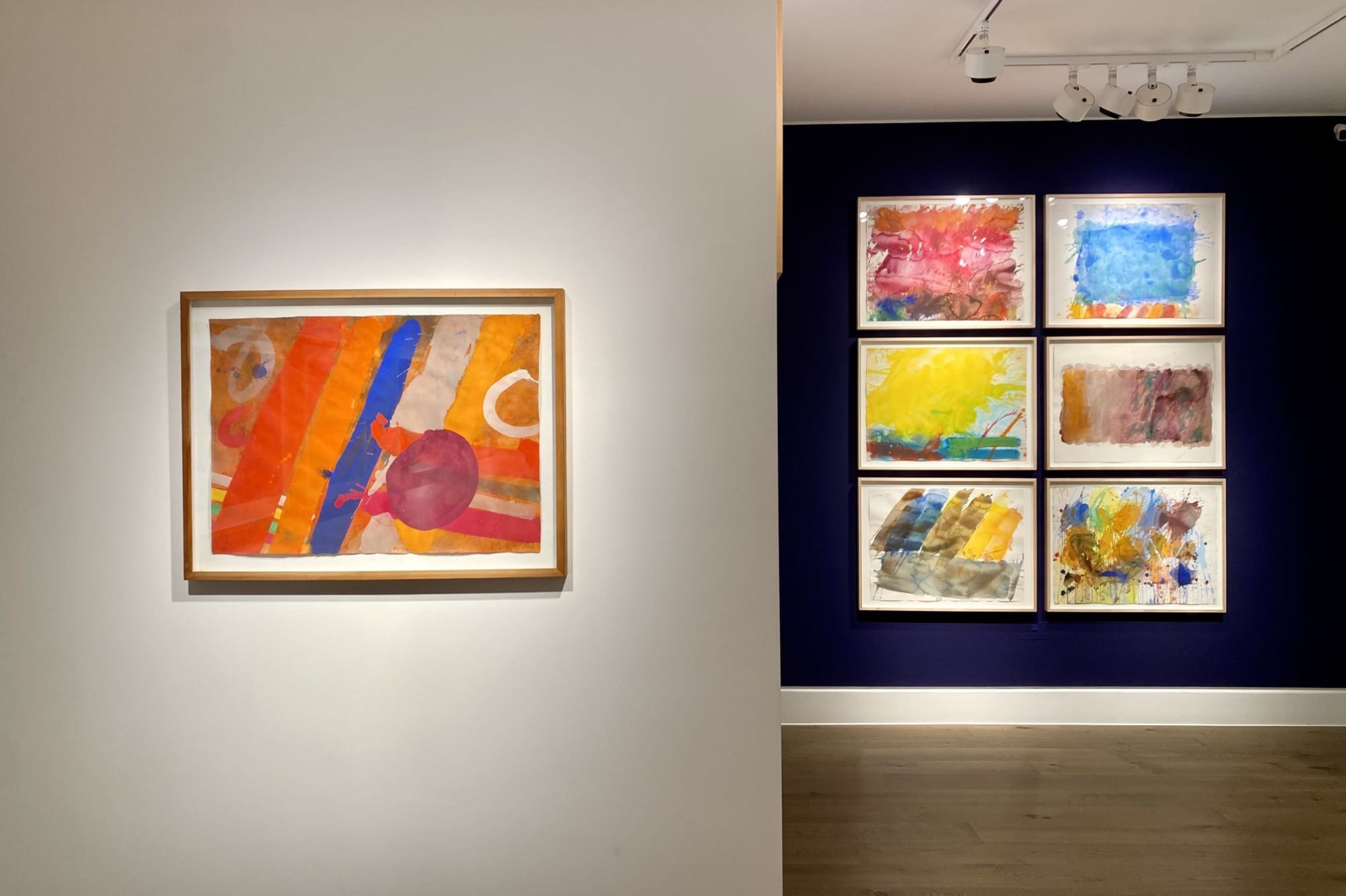 Albert Irvin: The Art of Water