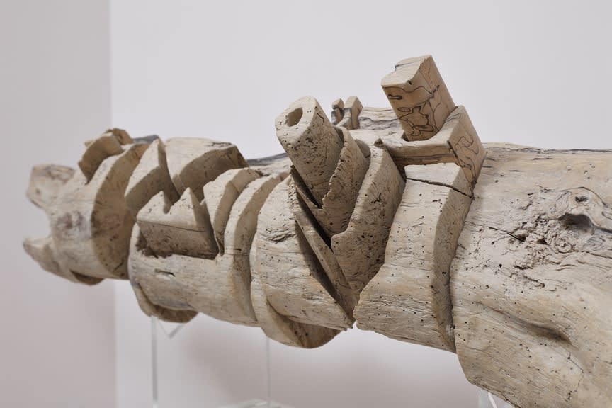 KEEP ME UPDATED YOUR HOLINESS