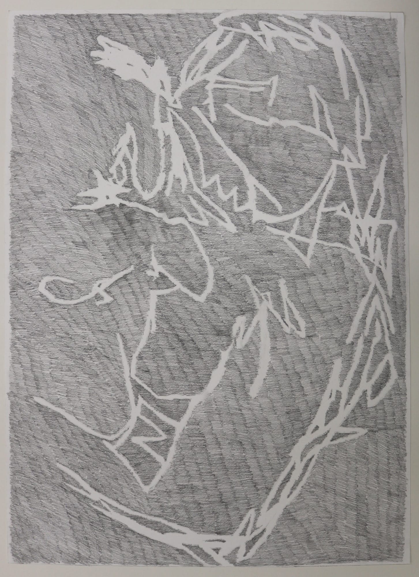 Stephanie Farmer Untitled (Reverse Epstein), 2017, graphite on paper, 84 x 60cm