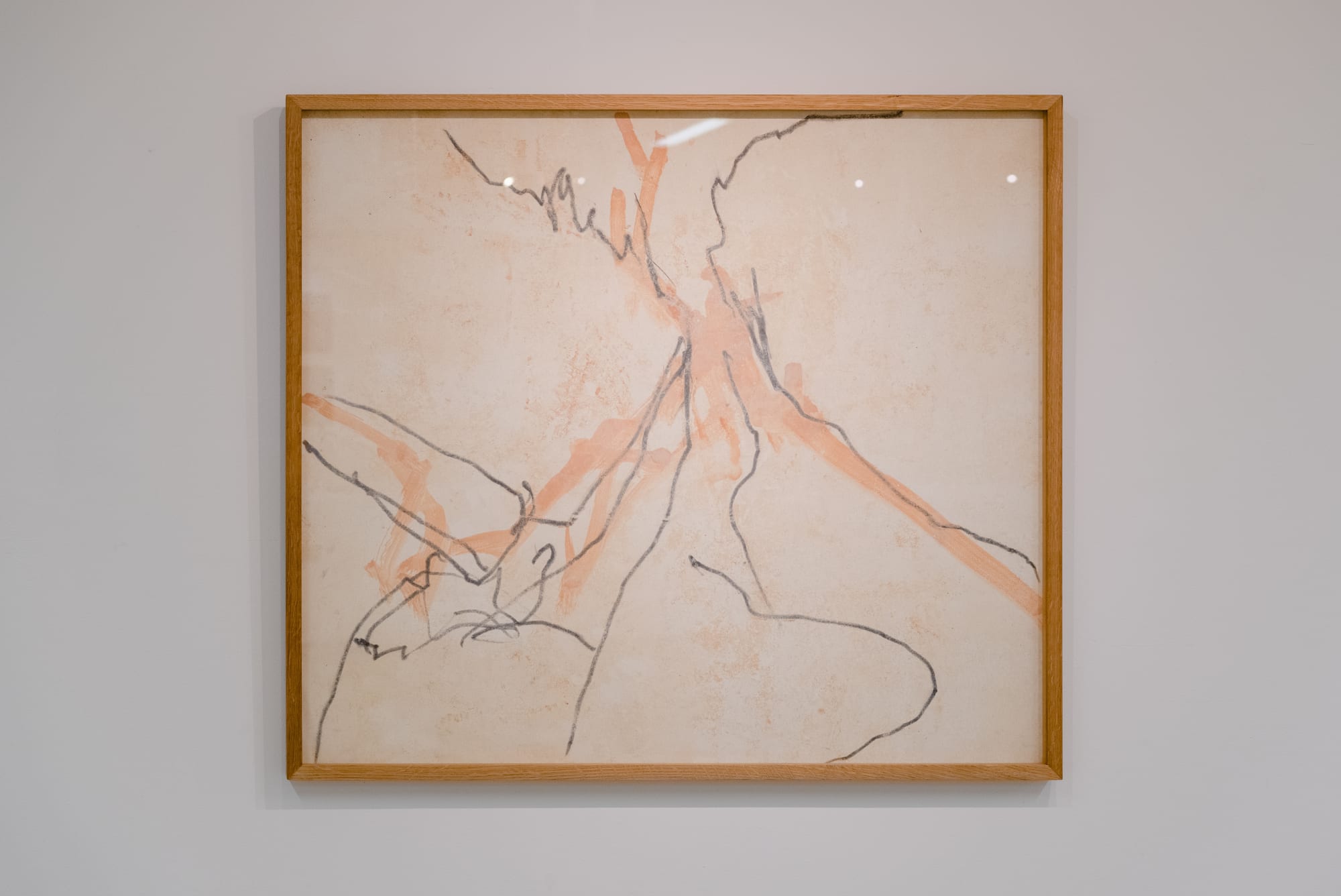 Beatrice Carracciolo, Untitled, 2014