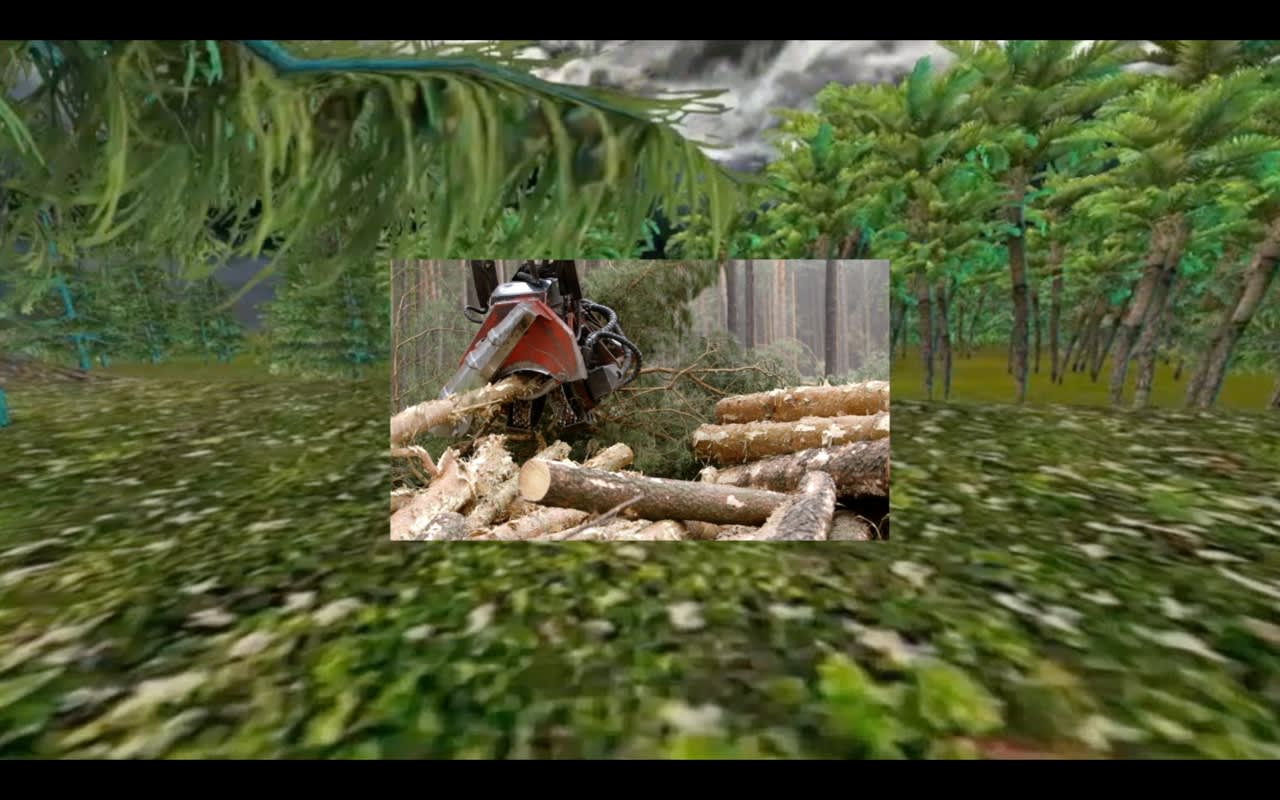 Peter Barnard, 'Forest', (2016) video.