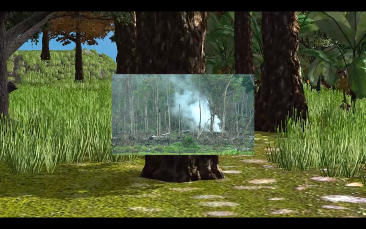 Peter Barnard, 'Forest', (2016) video.