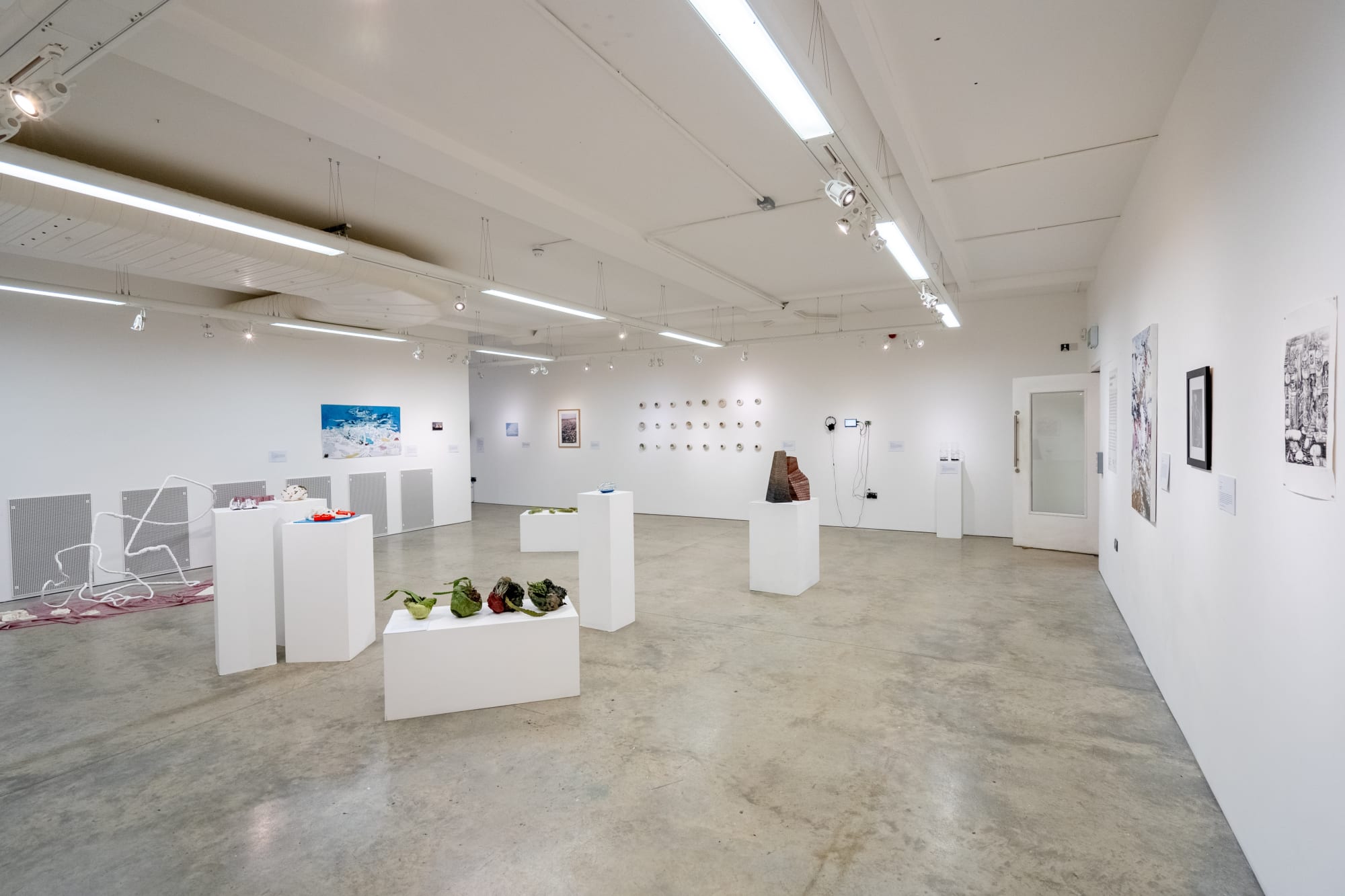 Environmental Crisis