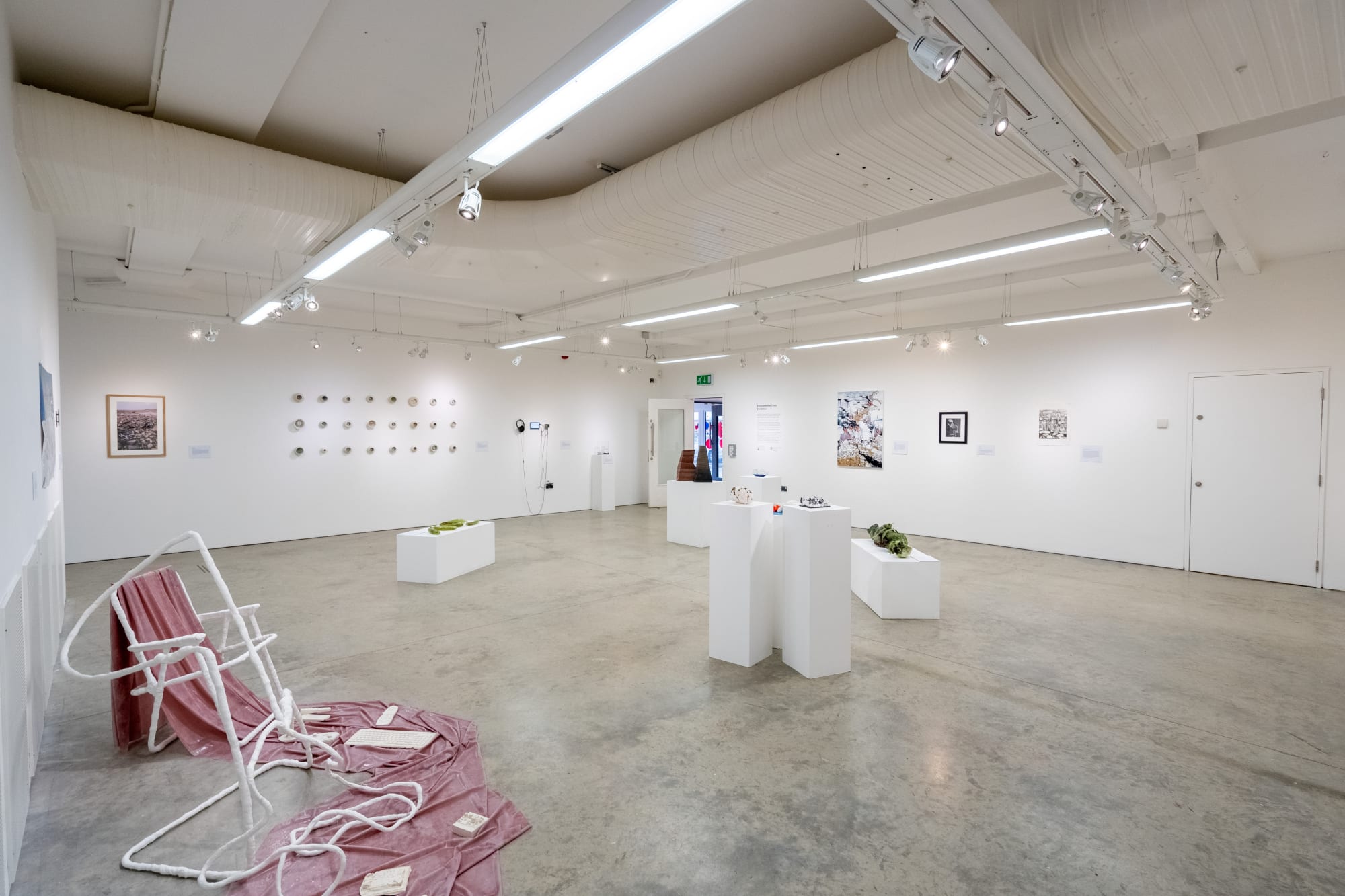 Environmental Crisis