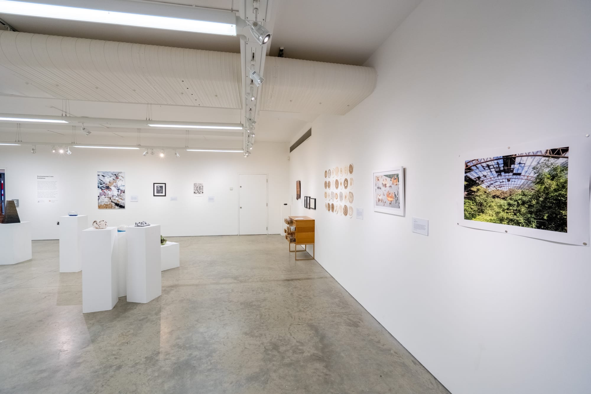 Environmental Crisis