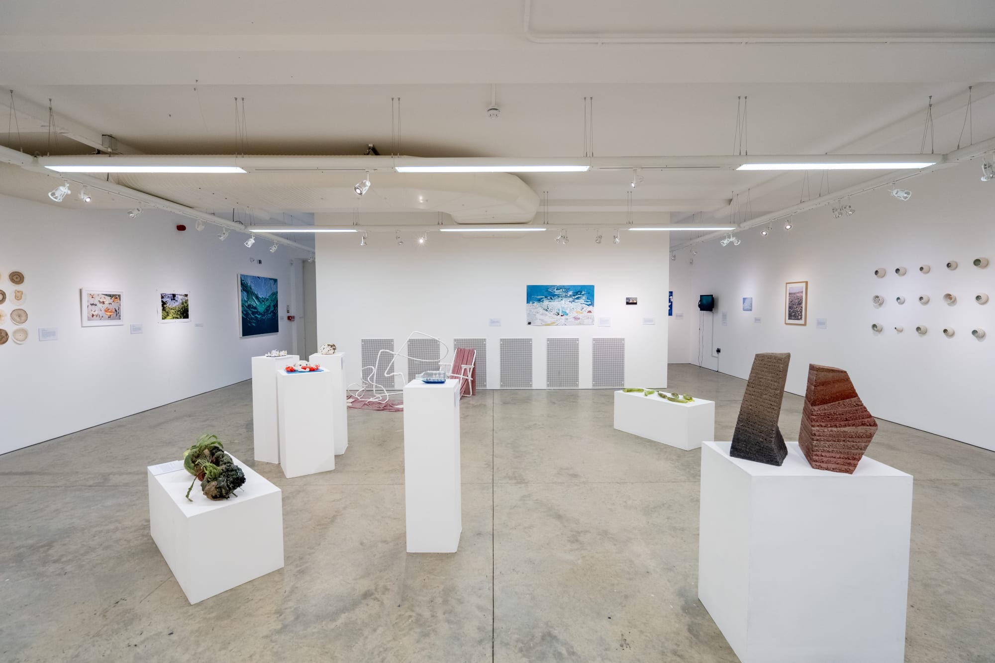 Environmental Crisis