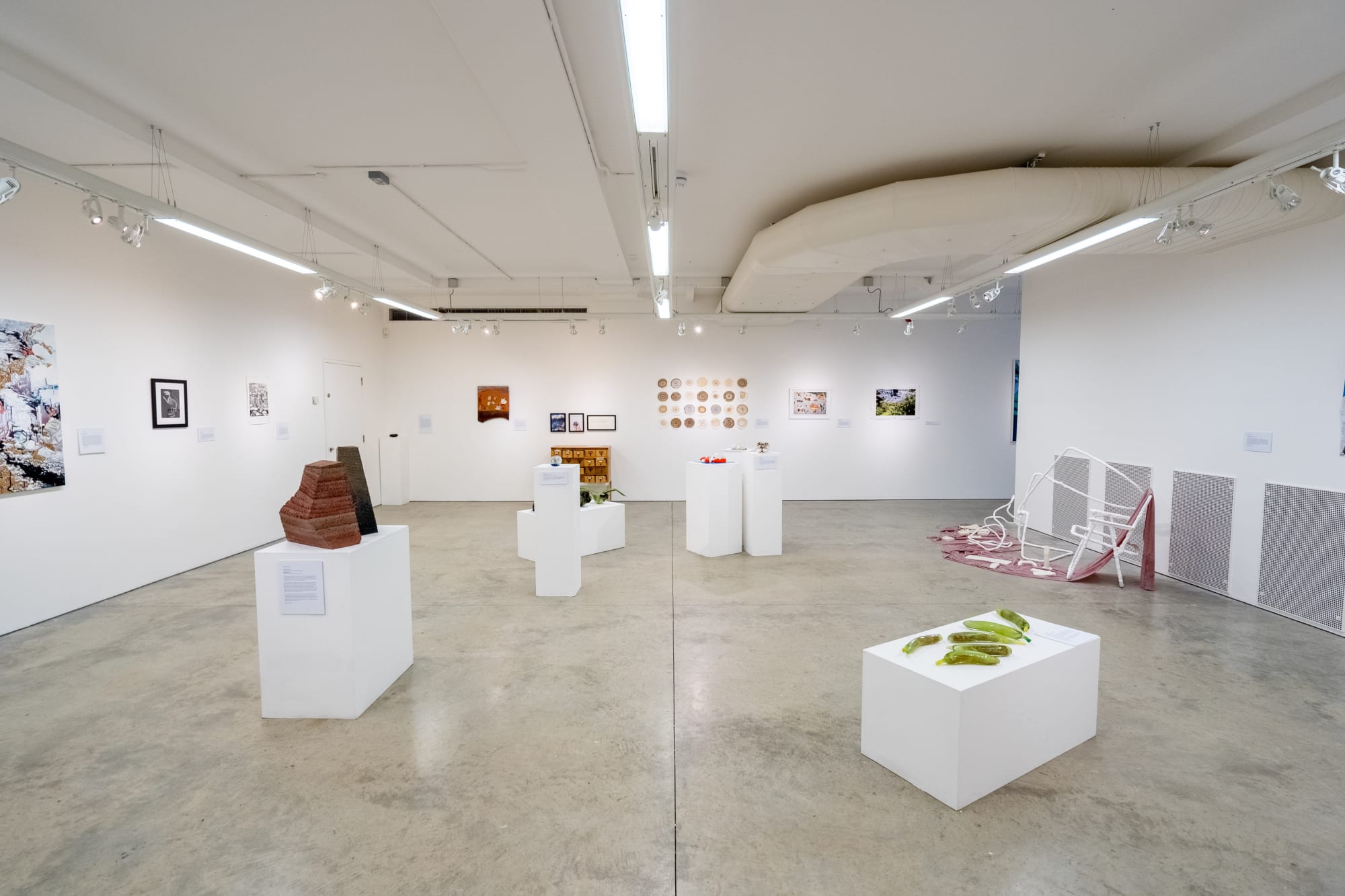 Environmental Crisis