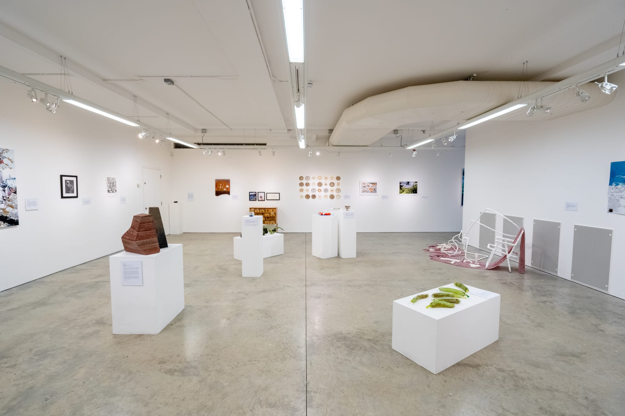 Environmental Crisis