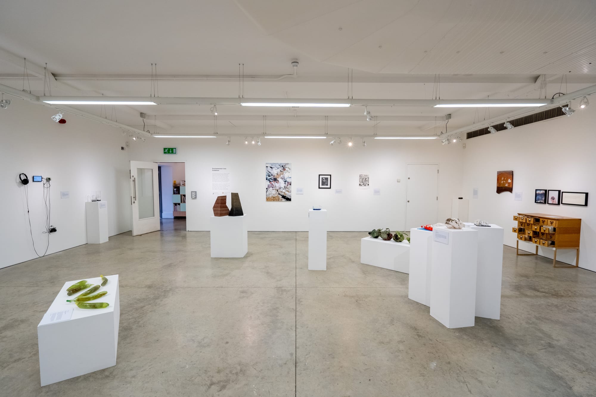 Environmental Crisis