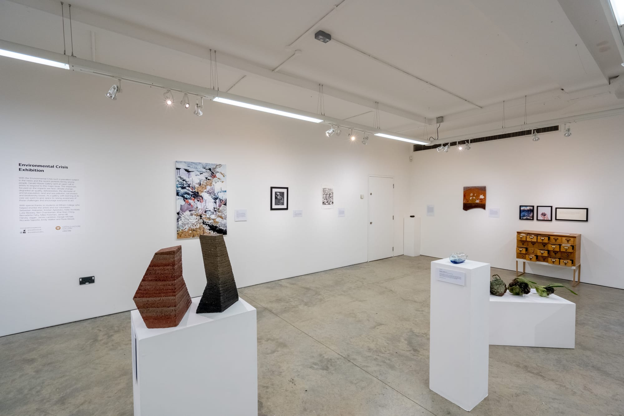 Environmental Crisis