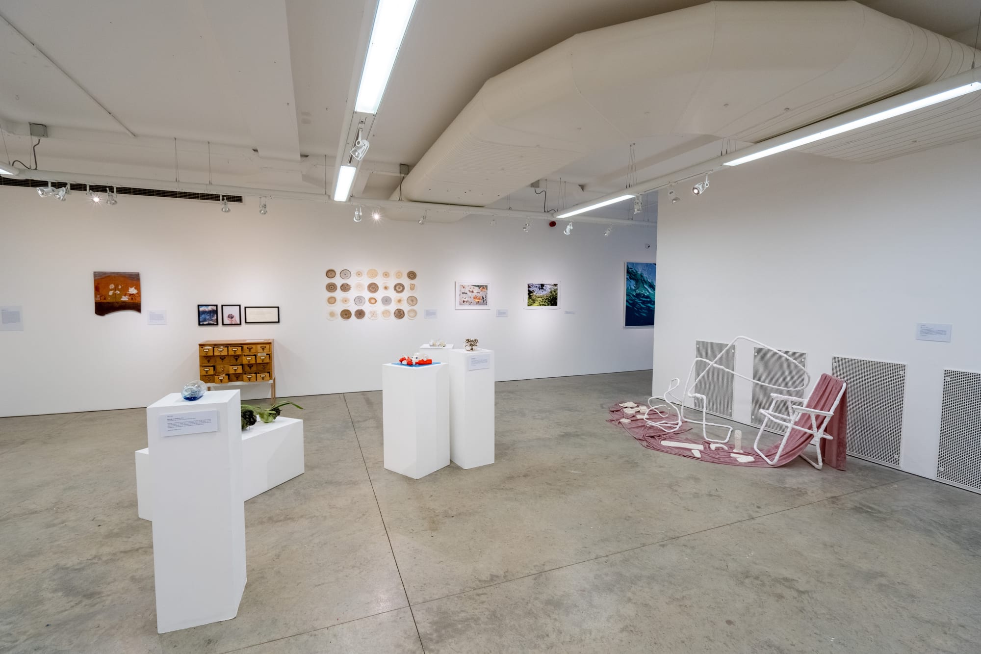 Environmental Crisis