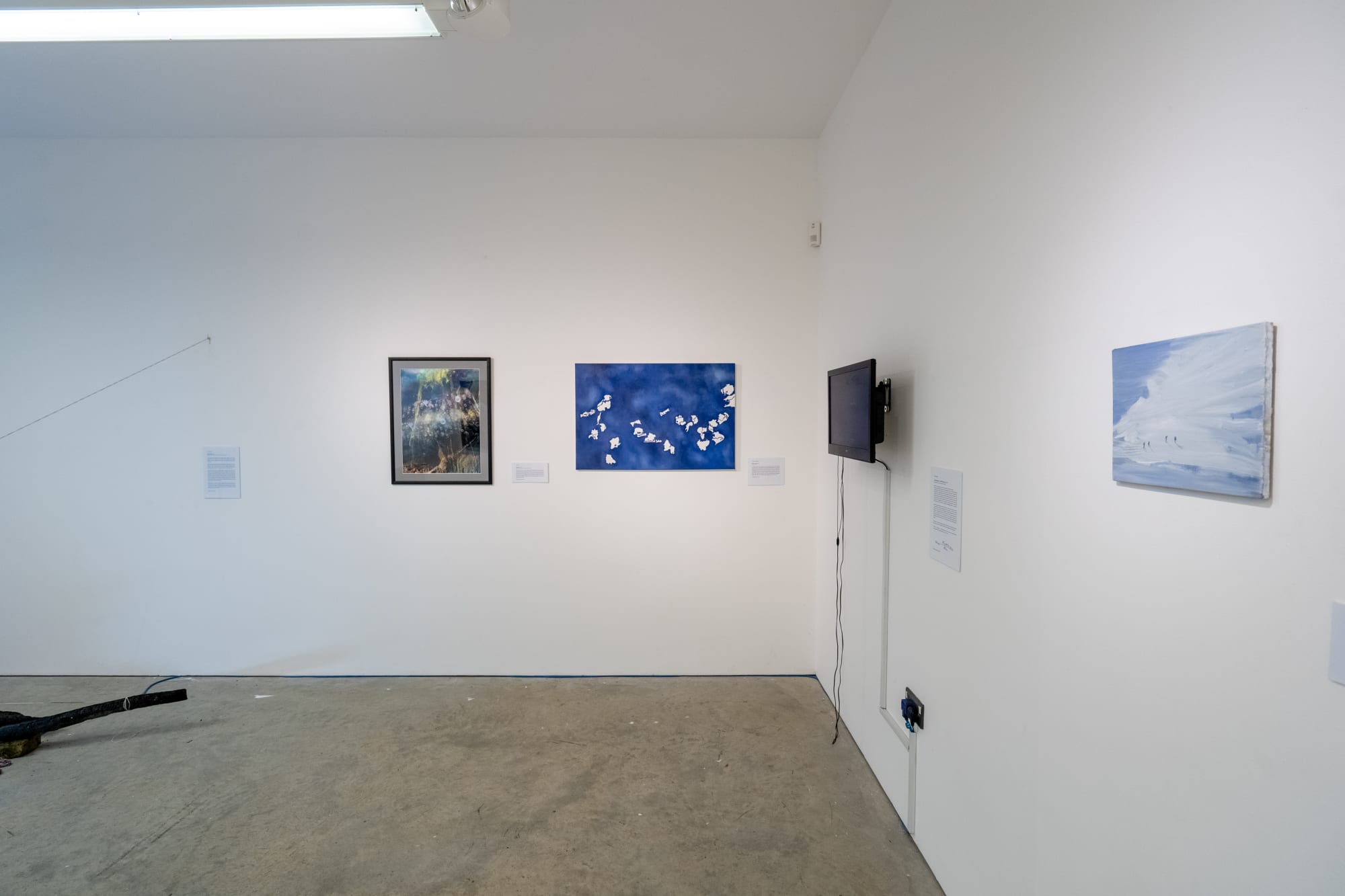 Environmental Crisis