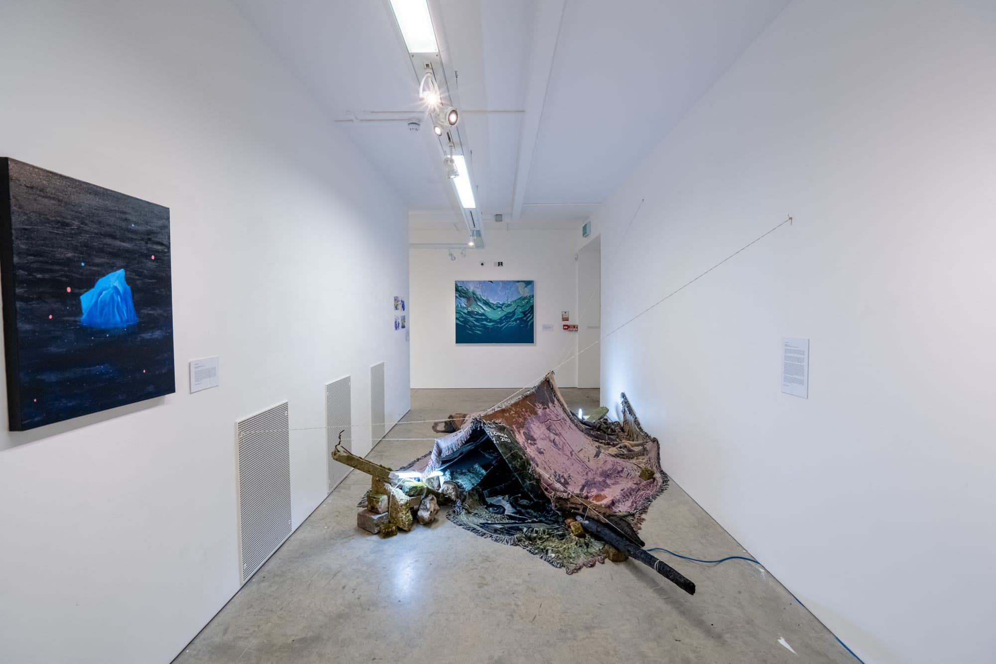 Environmental Crisis