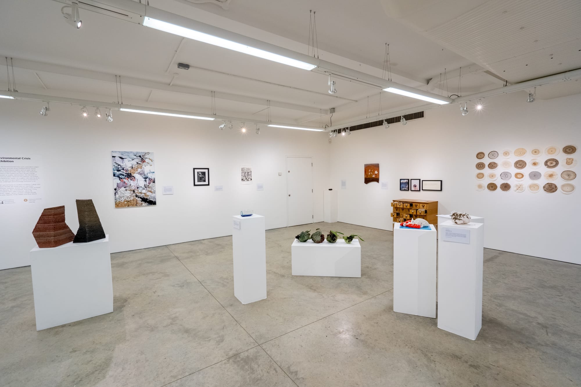 Environmental Crisis