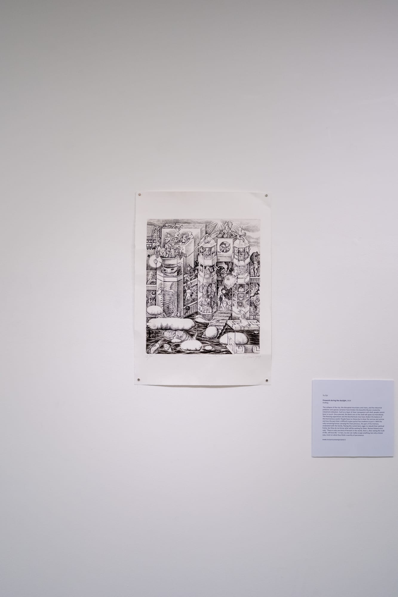 Yu Cai 'Firework during the daylight'