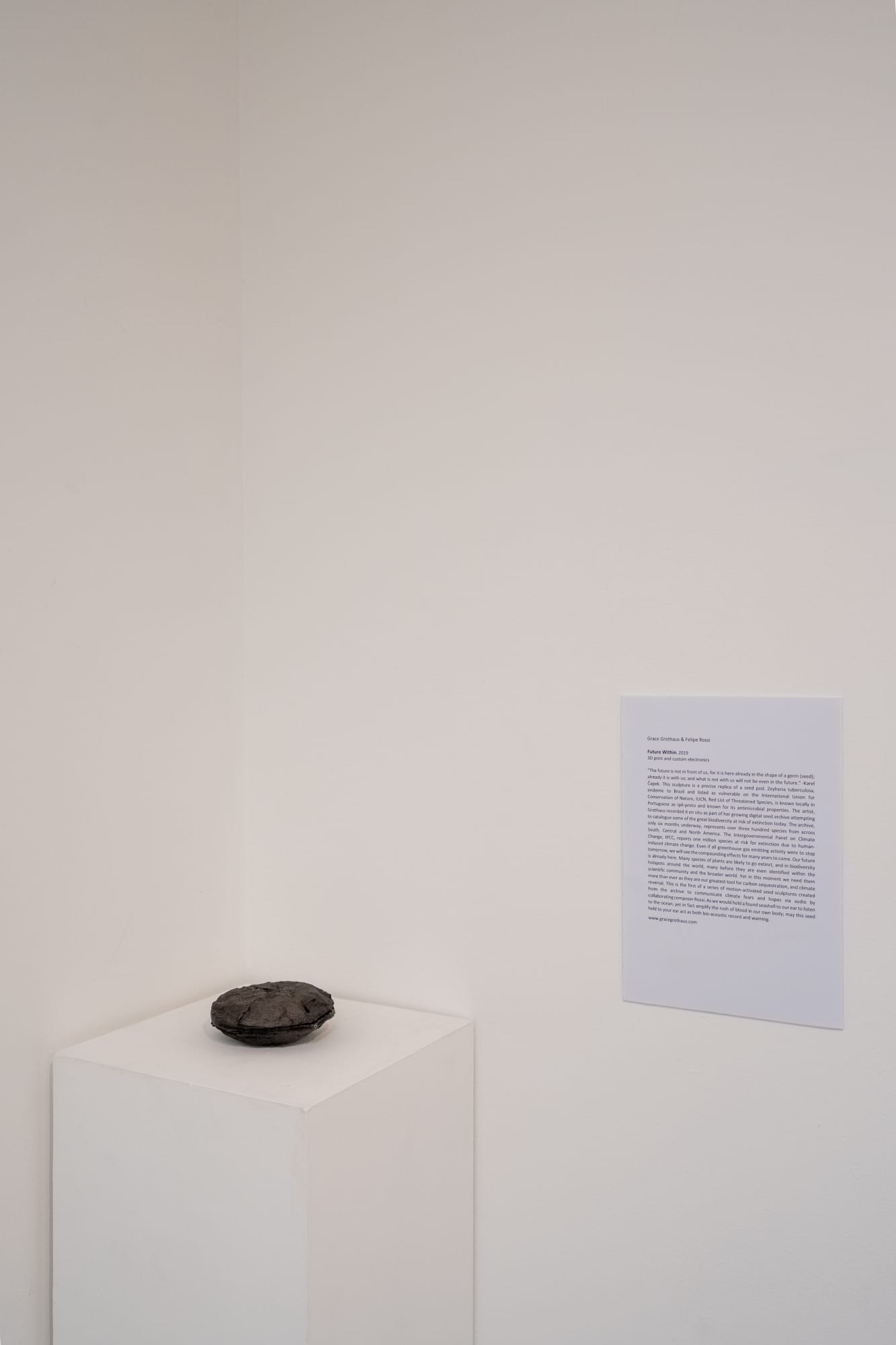 Grace Grothus & Felipe Rossi Future Within