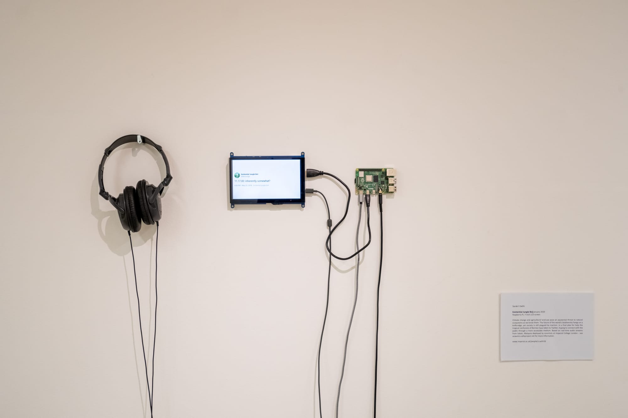 Sarab S Sethi 'Existential Jungle Bot'