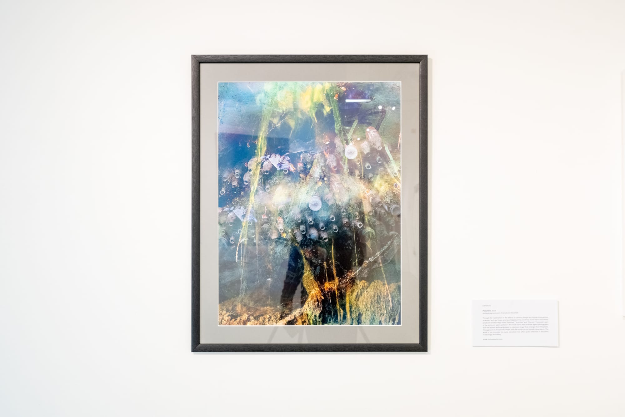 Chris Avis 'Poisoned Series'