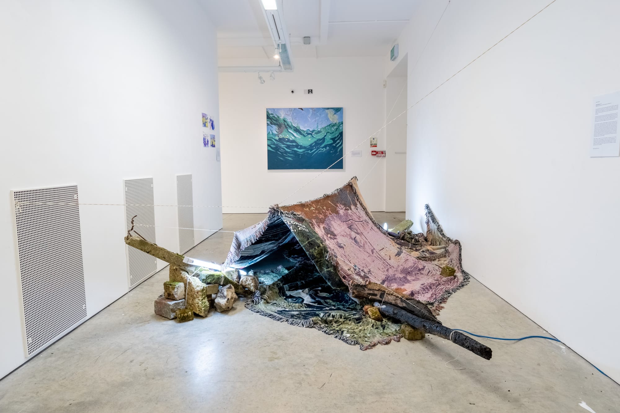 Environmental Crisis