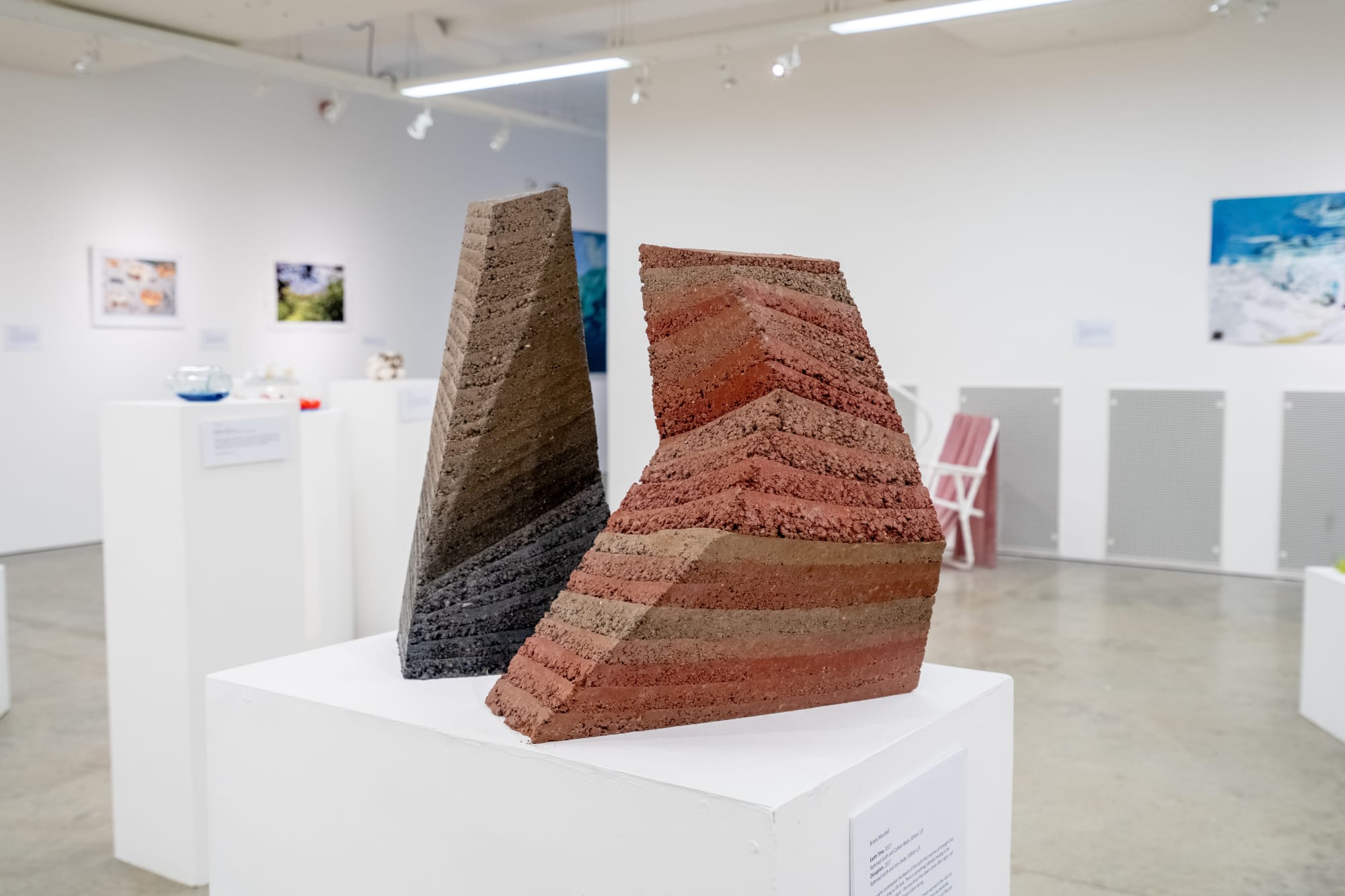 Briony Marshall 'Earth Time and Disruption'