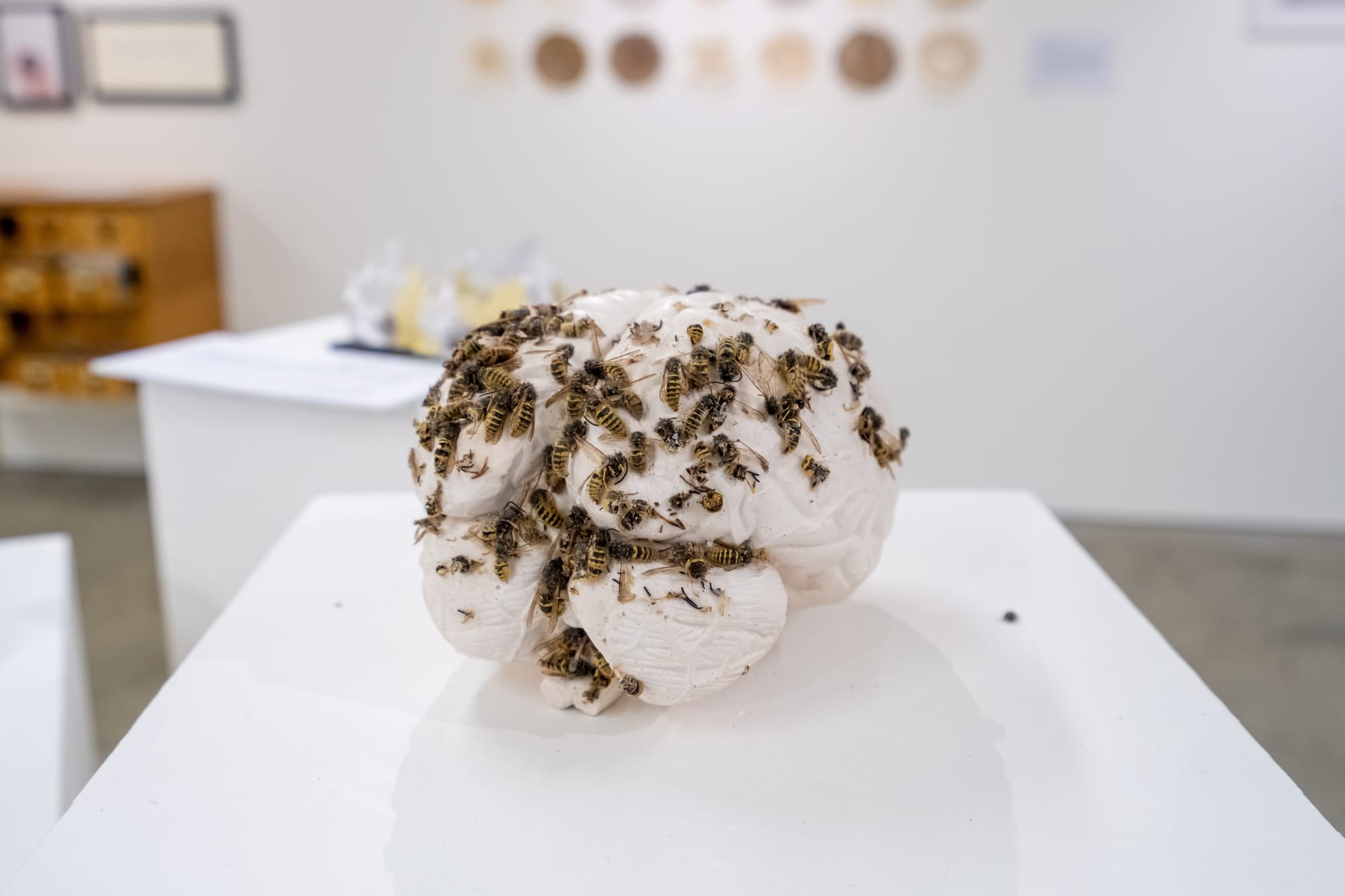 Marlene Bart 'Psycographics'