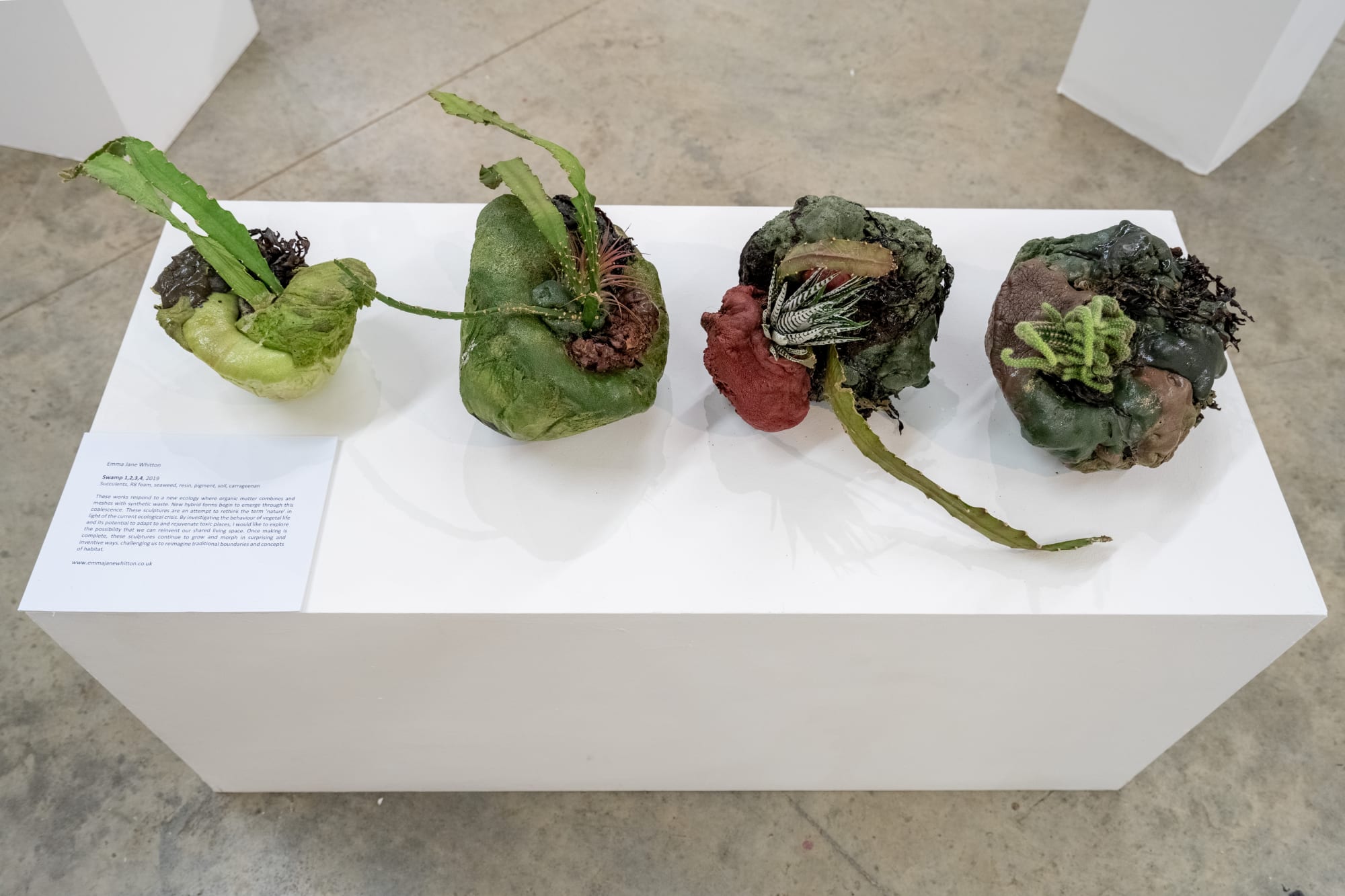 Emma Jane Whitton 'Swamp 1-4'