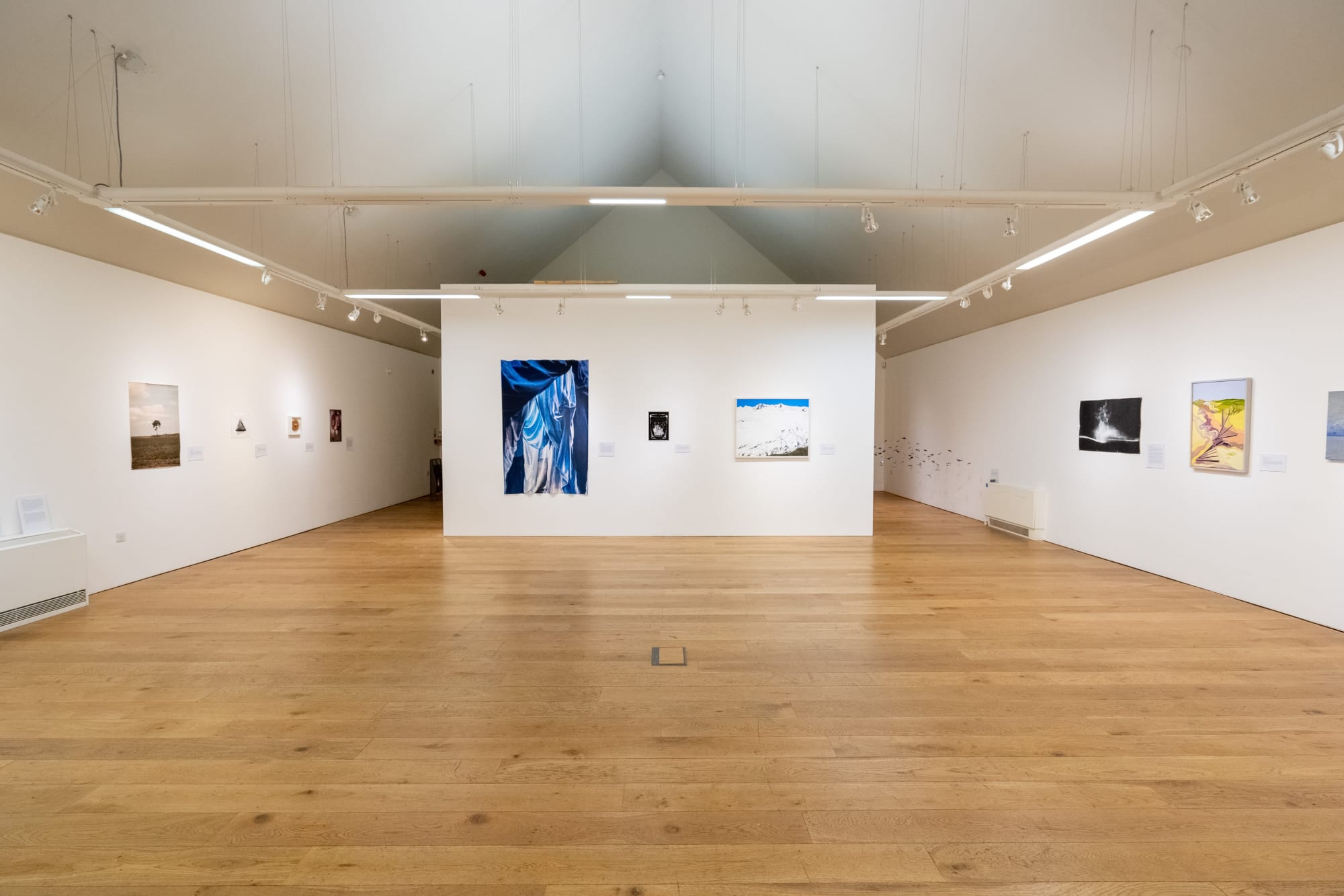 Environmental Crisis