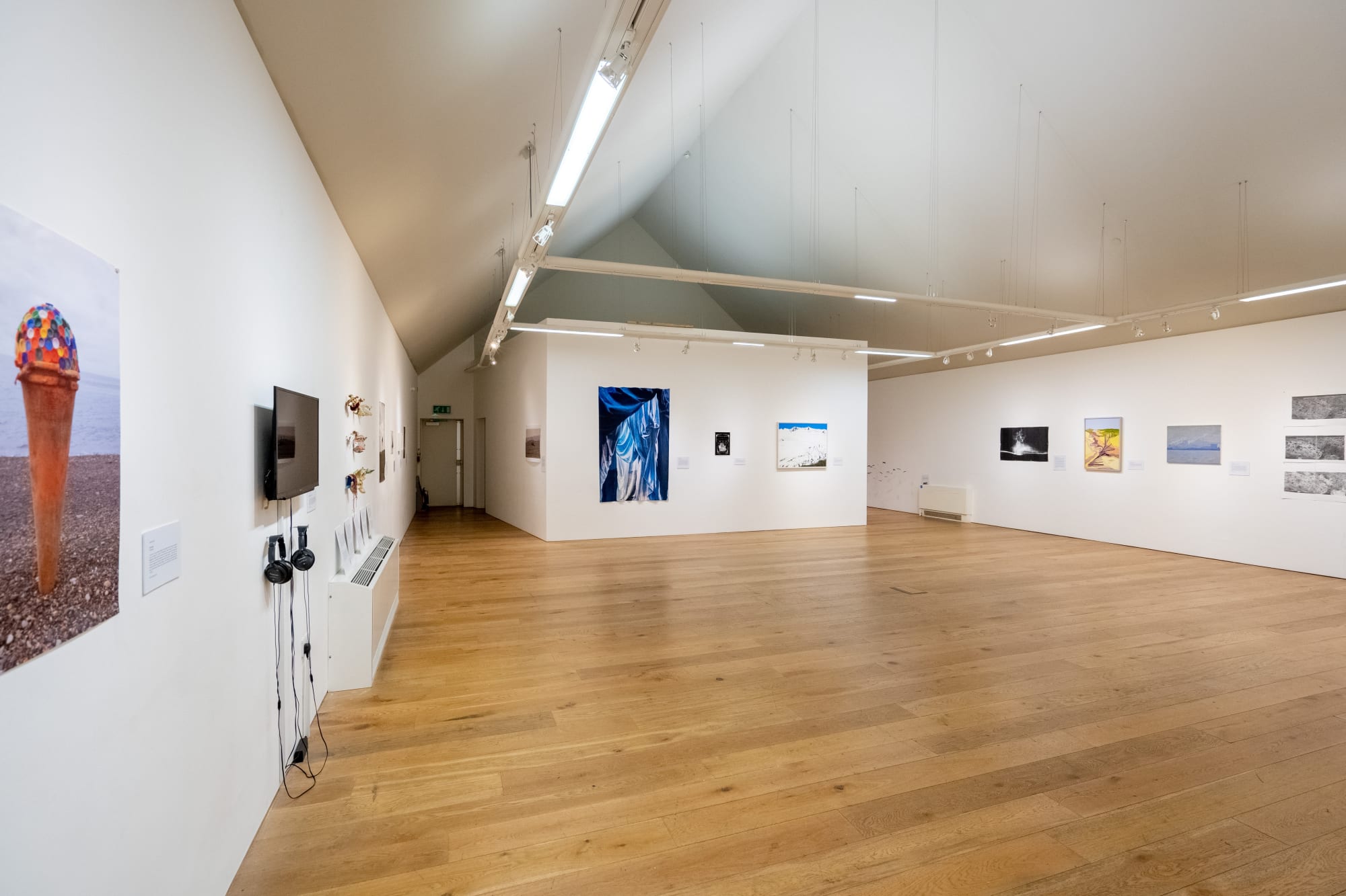 Environmental Crisis