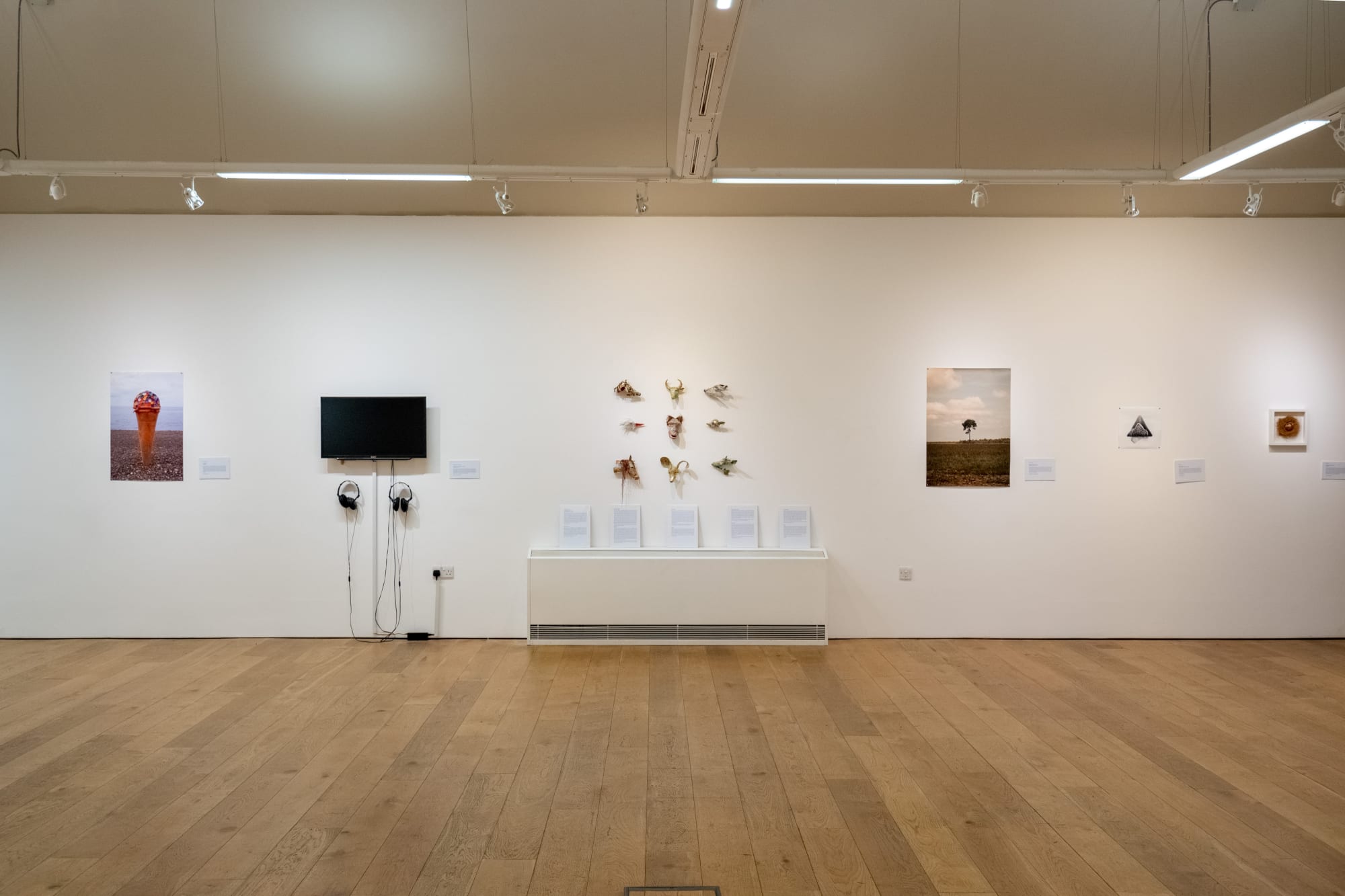 Environmental Crisis