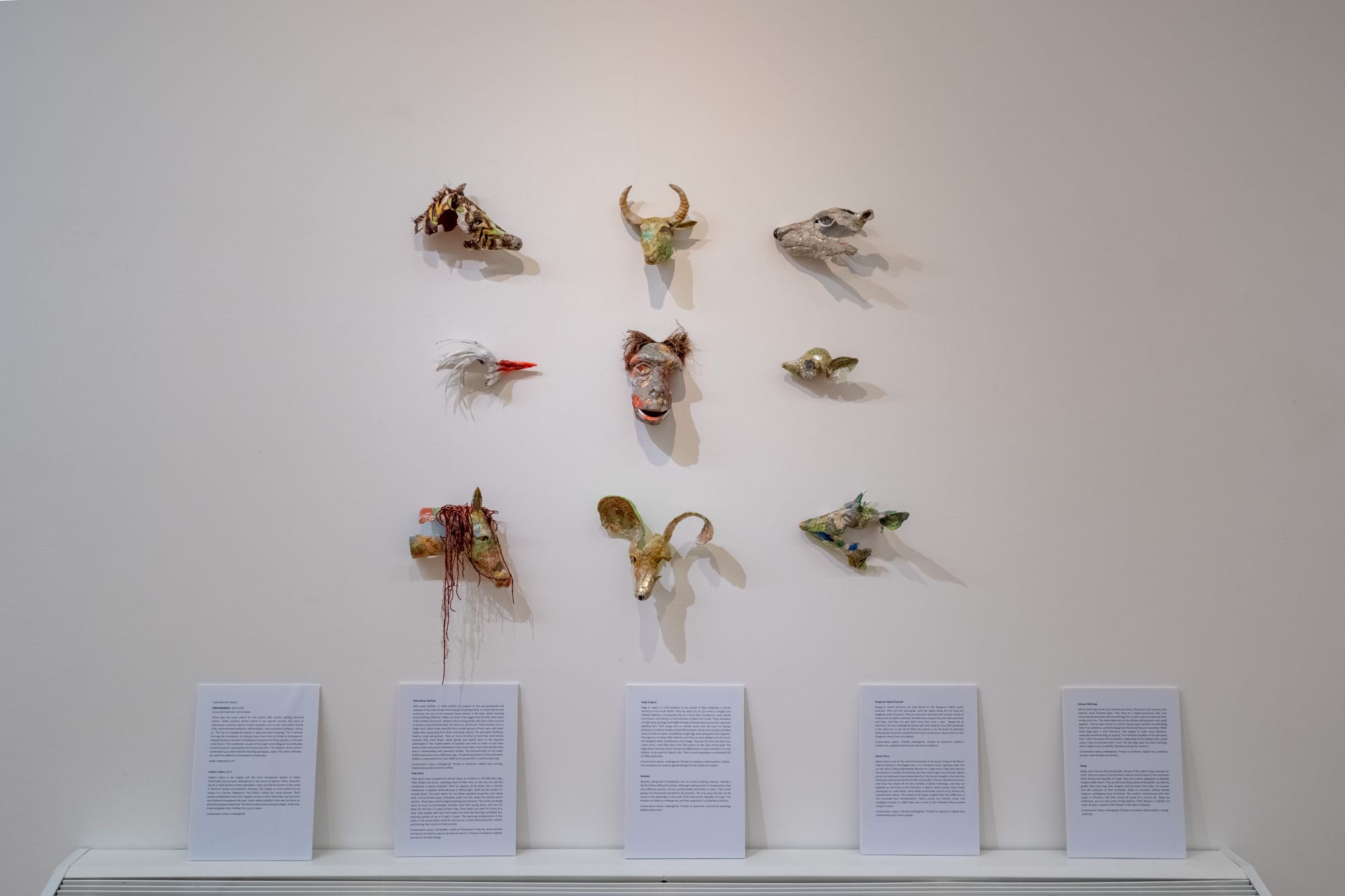 Yulia Dvorah Shtern 'Magical Zoo'