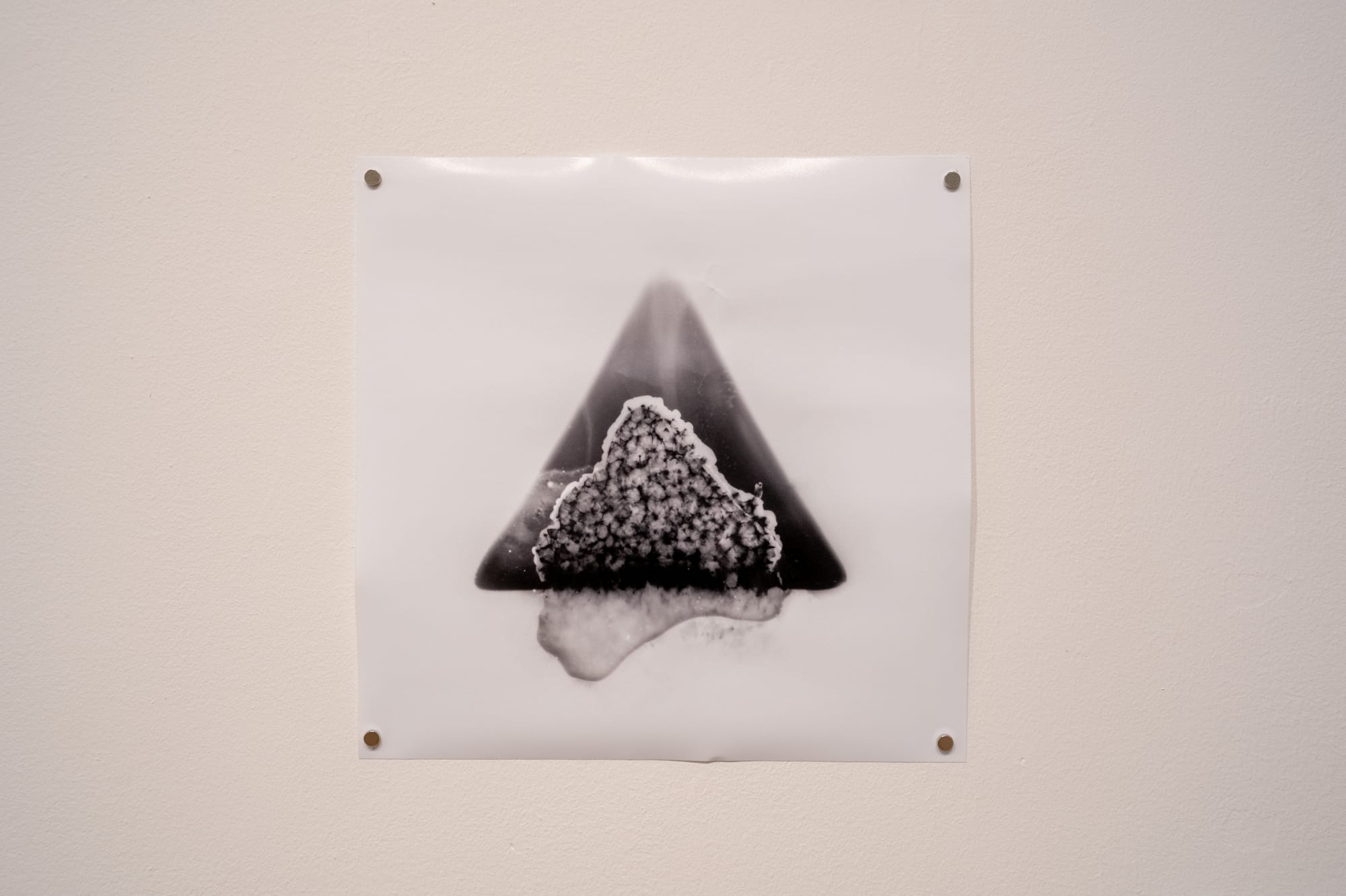 Aine Kelley 'Rested Three'