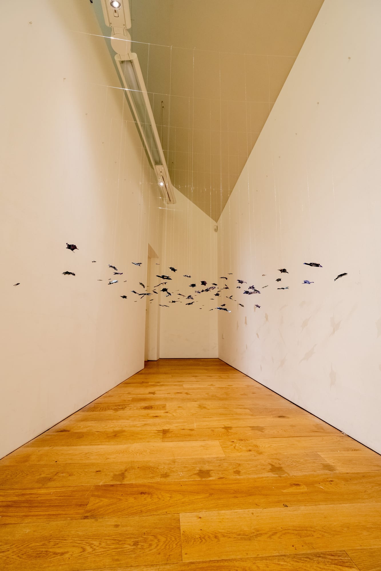 Chloe Cox 'Single Use Ocean'