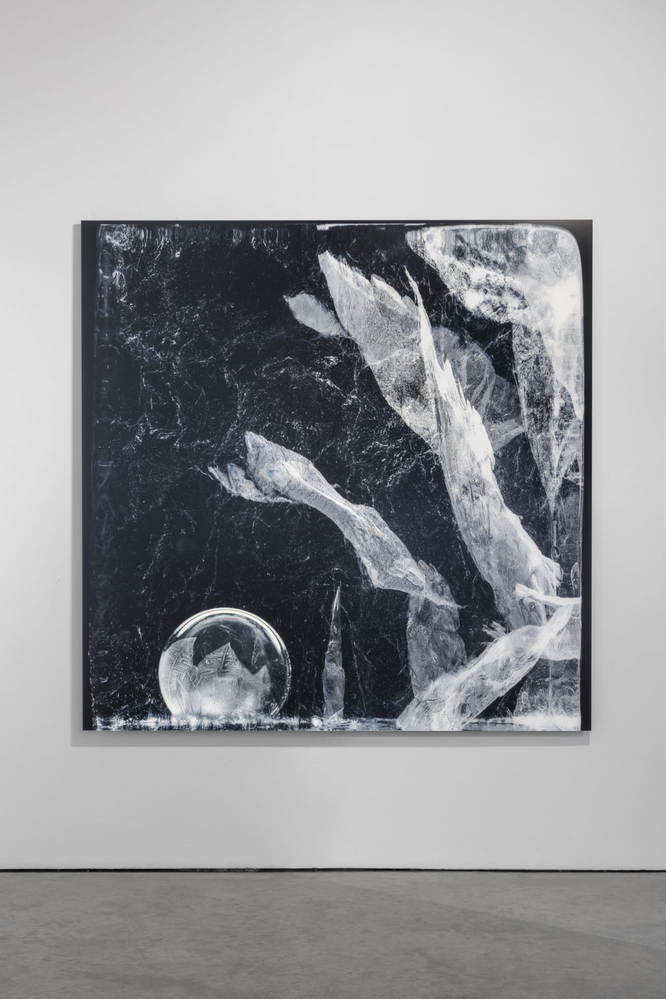 Peer Lindgreen and Duncan Hamilton Unexpected_Bloom_15 June 2018 Fine Art Pigment Print on da vinci Archival white mounted on aluminium dibond 150 x 150 cm