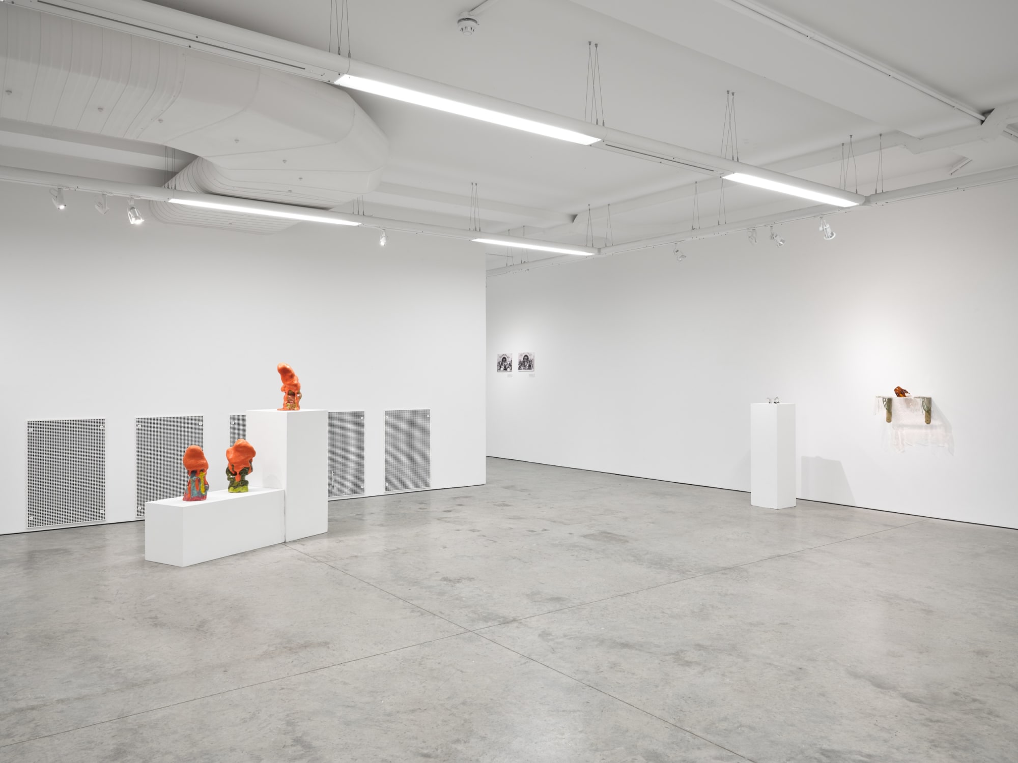 Installation view of In the Fire, 2 - 25 February 2023 Ground Floor Gallery Photo: Reinis Lismanic