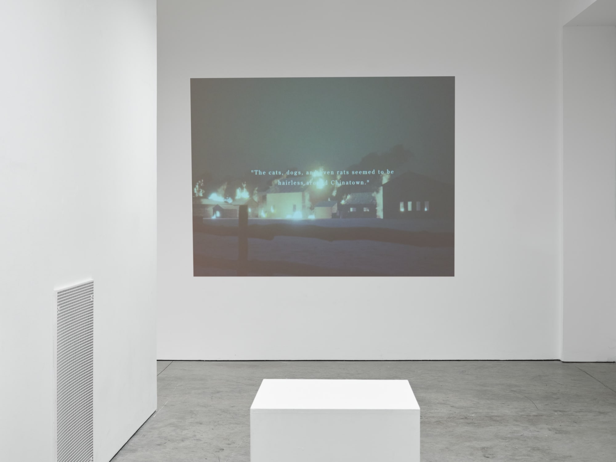 Installation view of In the Fire, 2 - 25 February 2023 Ground Floor Gallery Photo: Reinis Lismanic