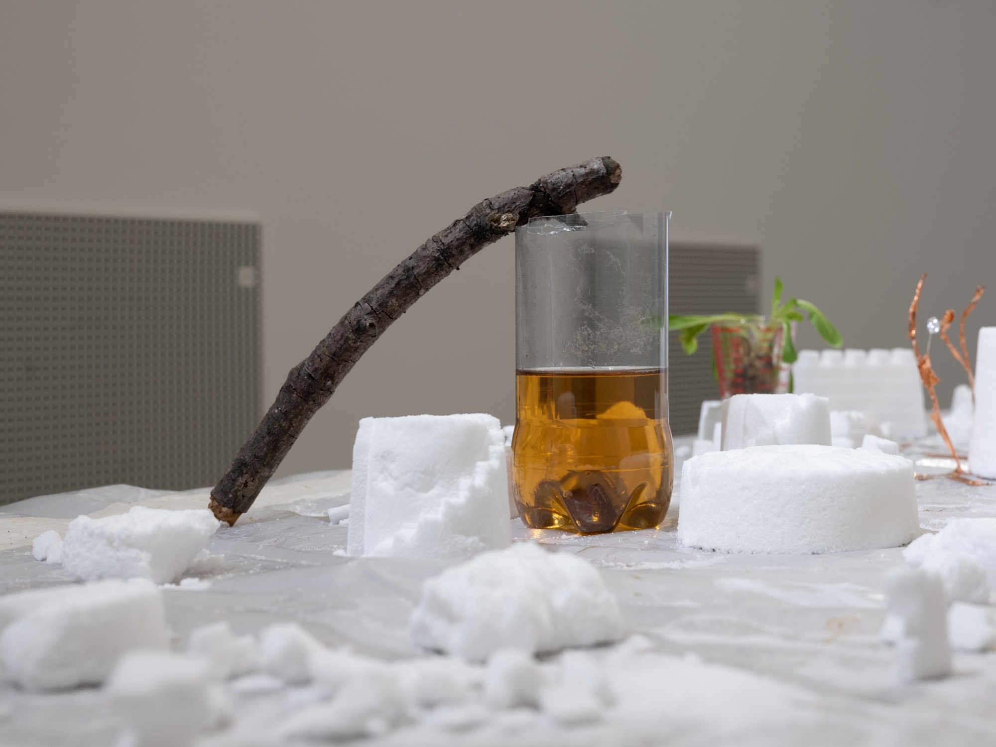 Parting ways, Salty ego