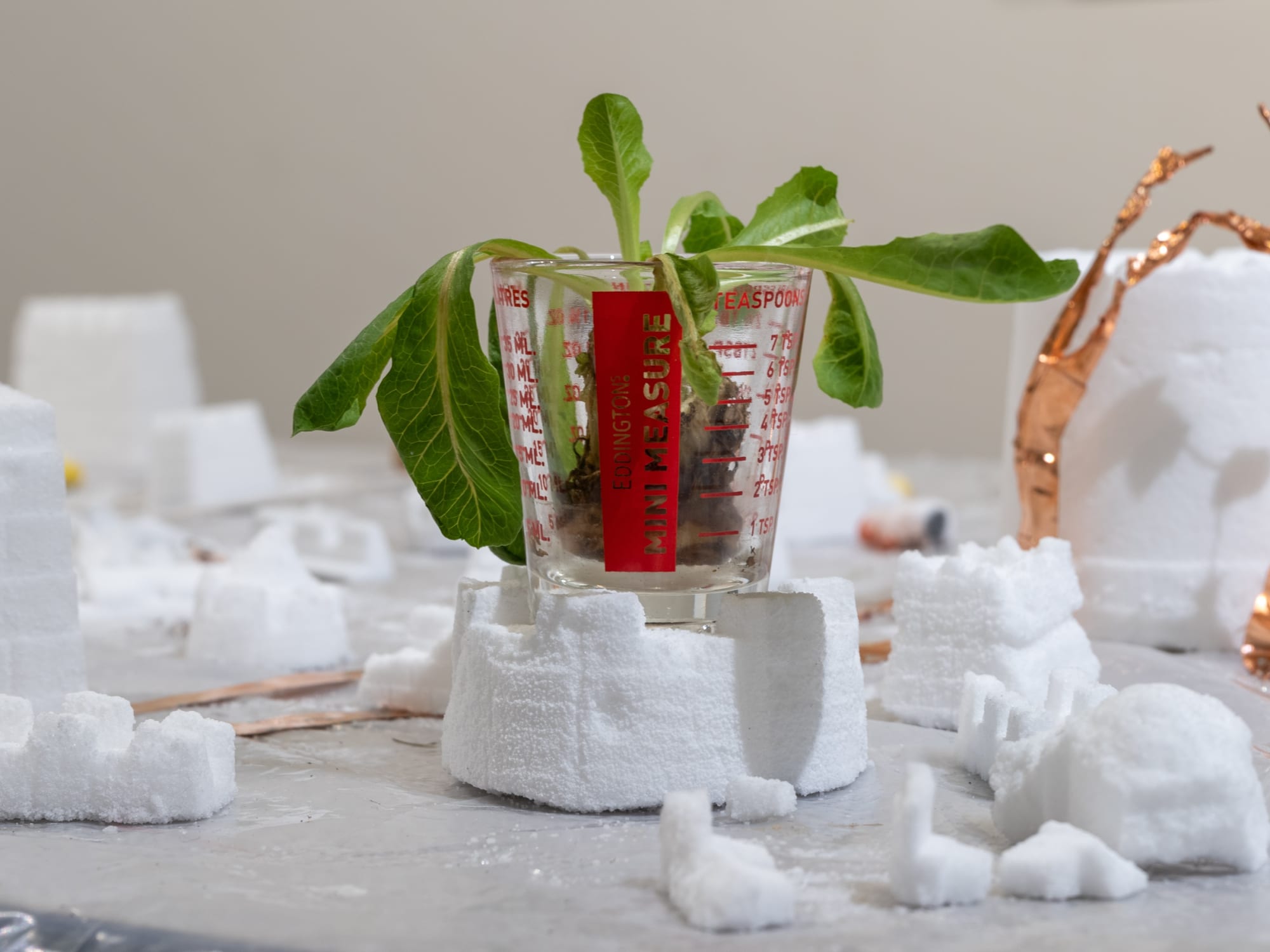 Parting ways, Salty ego