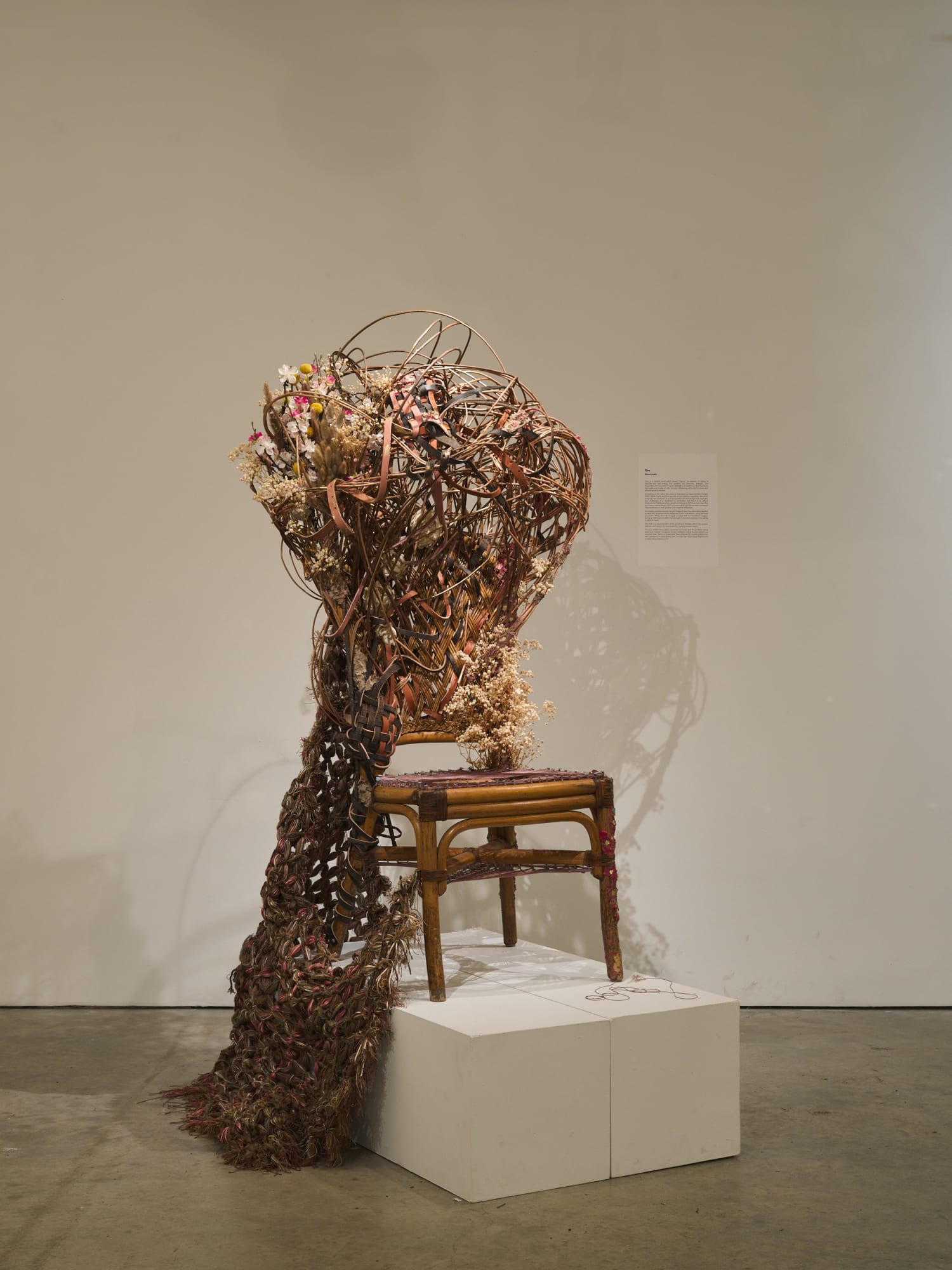 What's on Your Mind?