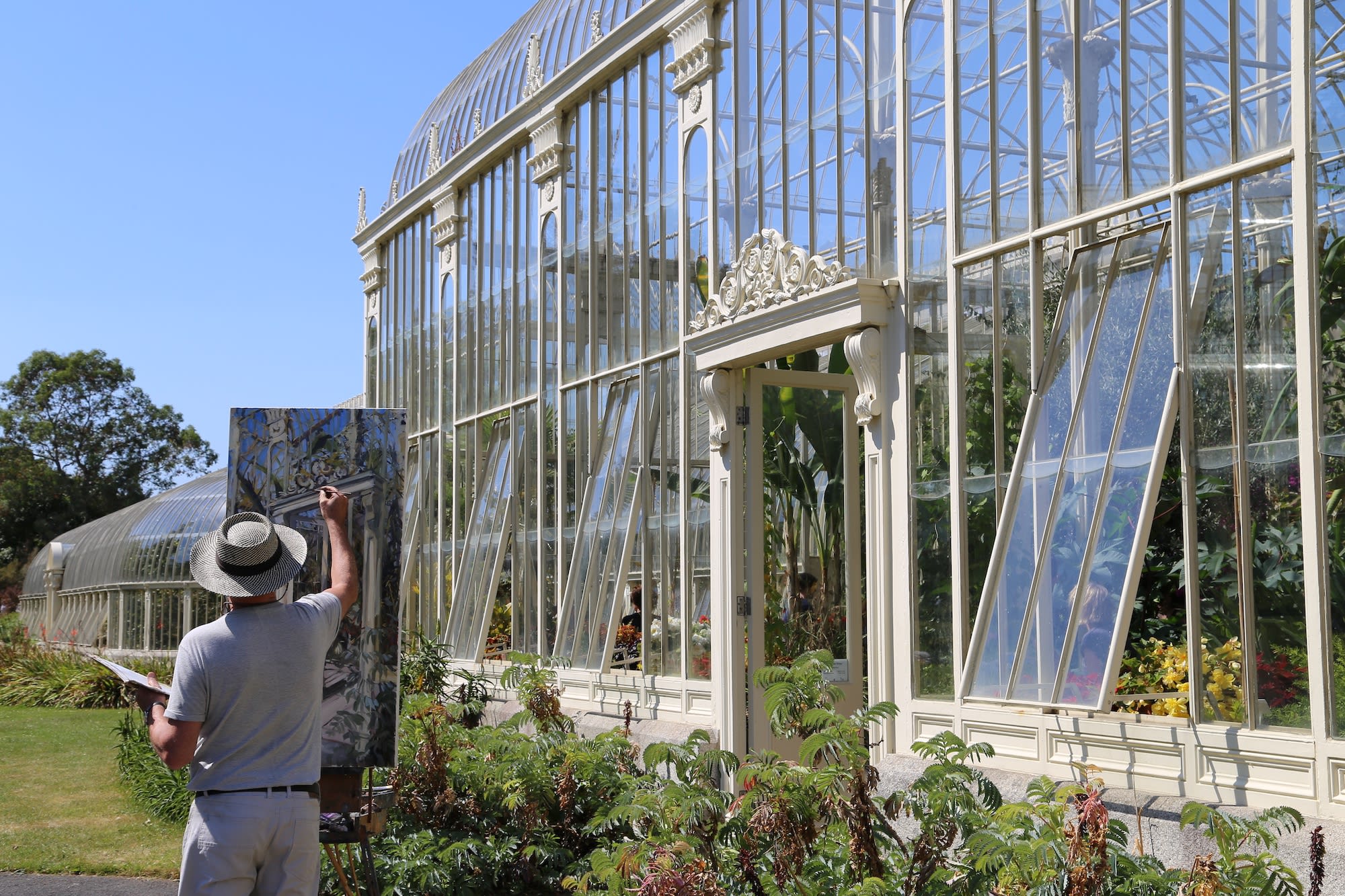 24 JUNE 2018 NATIONAL BOTANIC GARDENS OF IRELAND, DUBLIN Endless Summer photo: Agata Byrne