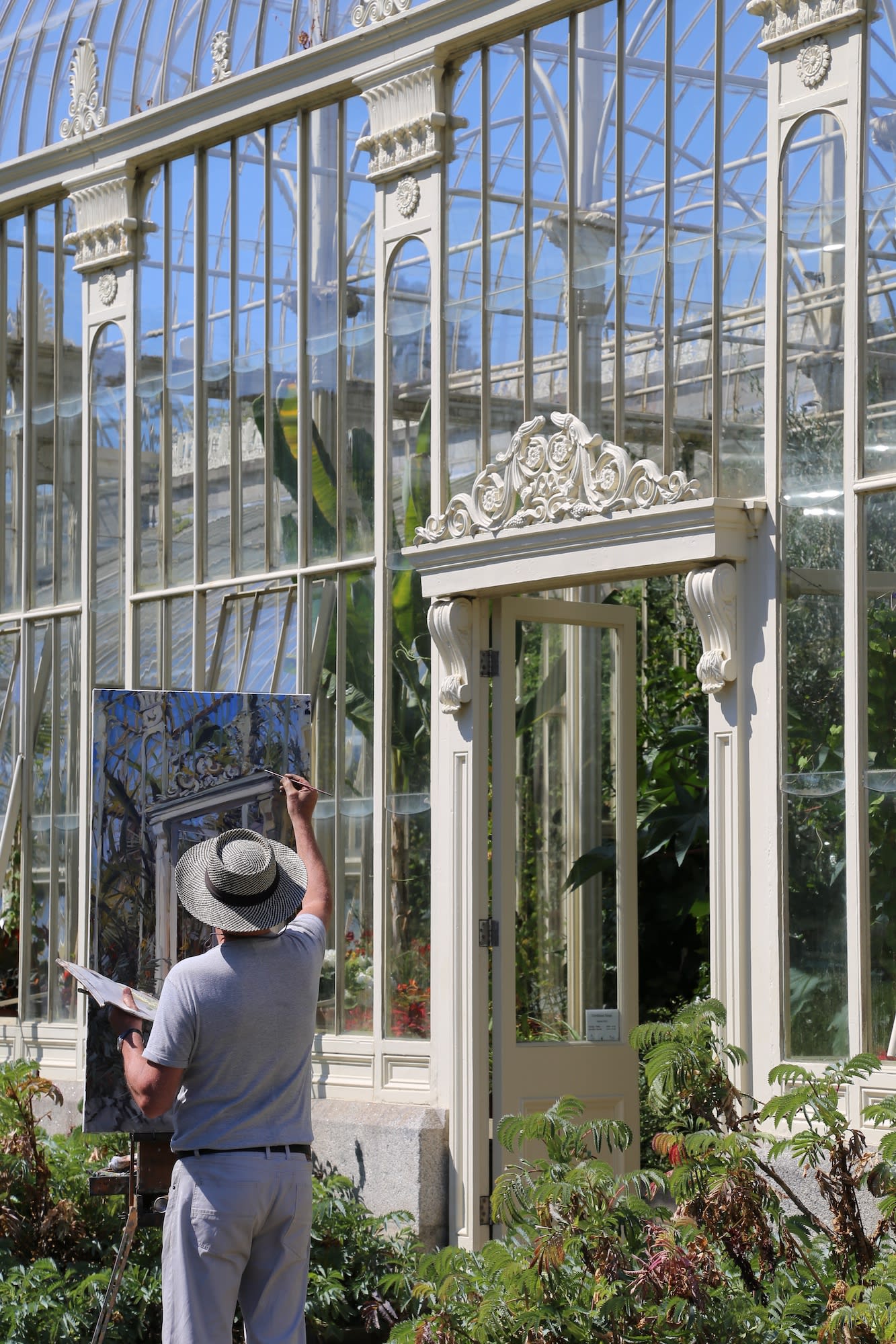 24 JUNE 2018 NATIONAL BOTANIC GARDENS OF IRELAND, DUBLIN Endless Summer photo: Agata Byrne