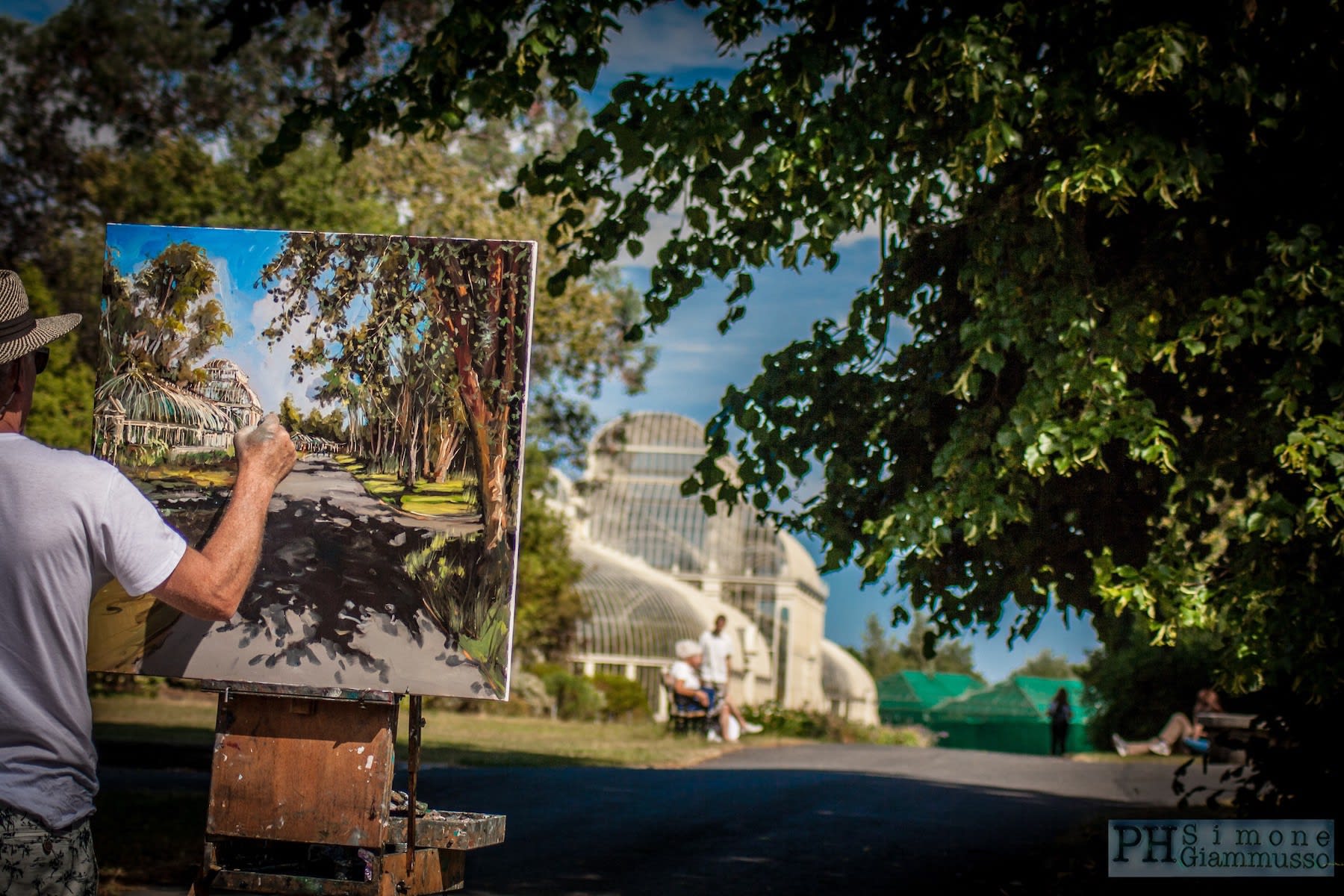 26 JUNE 2018 NATIONAL BOTANIC GARDENS OF IRELAND, DUBLIN Summer Shadows at Botanic Gardens photo: Simone Giammusso