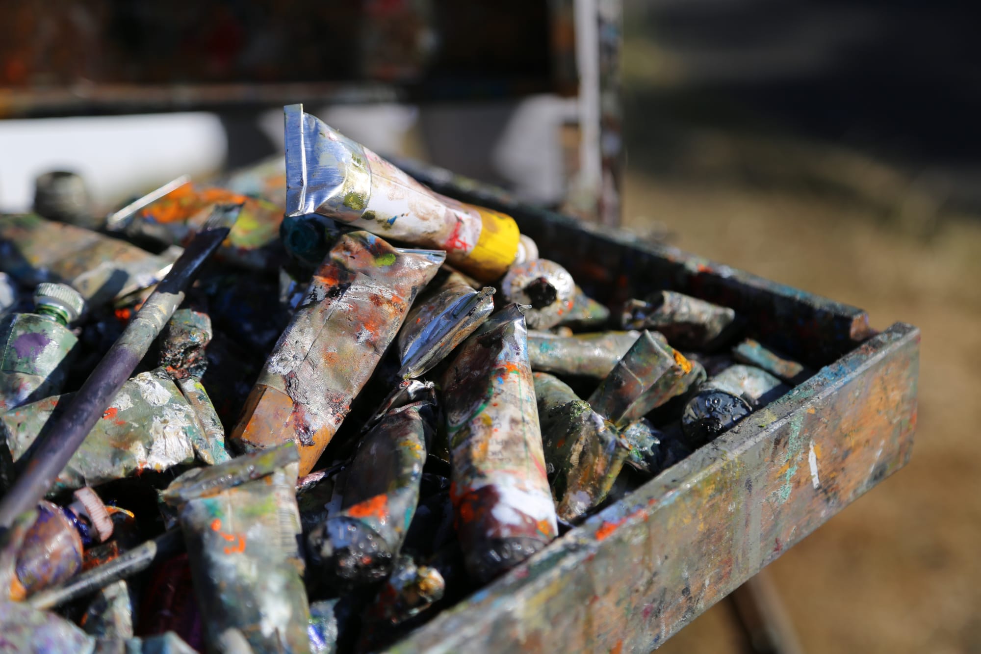 28 JUNE 2018 NATIONAL BOTANIC GARDENS OF IRELAND, DUBLIN After Hours, Artist easel detail photo: Agata Byrne