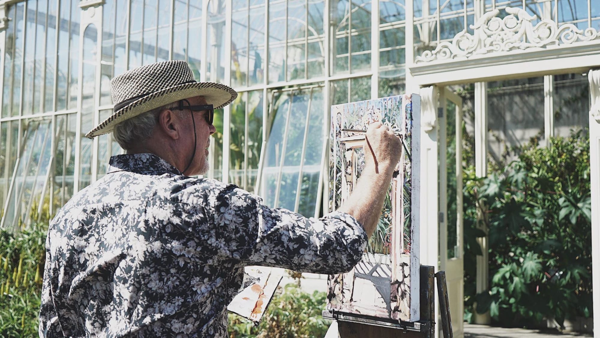 03 JULY 2018 NATIONAL BOTANIC GARDENS OF IRELAND, DUBLIN Summer Shadows photo: Esther Wang