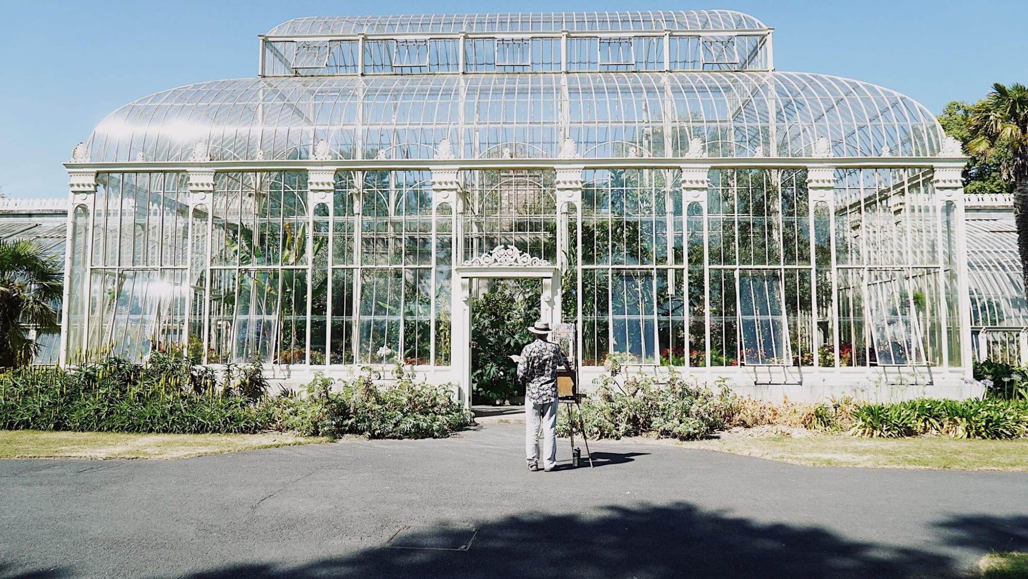03 JULY 2018 NATIONAL BOTANIC GARDENS OF IRELAND, DUBLIN Summer Shadows photo: Esther Wang