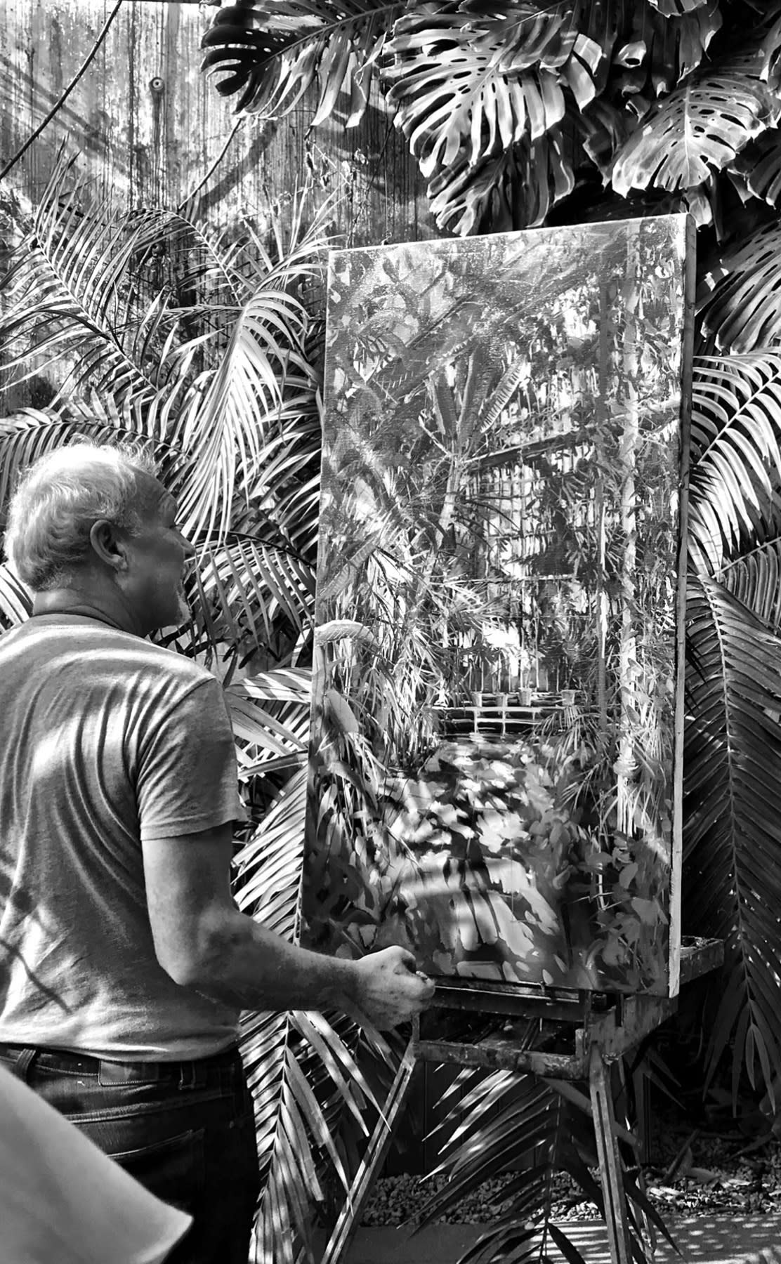 18 APRIL 2019 NATIONAL BOTANIC GARDENS OF IRELAND, DUBLIN Tropical House photo: Scott E Hayes