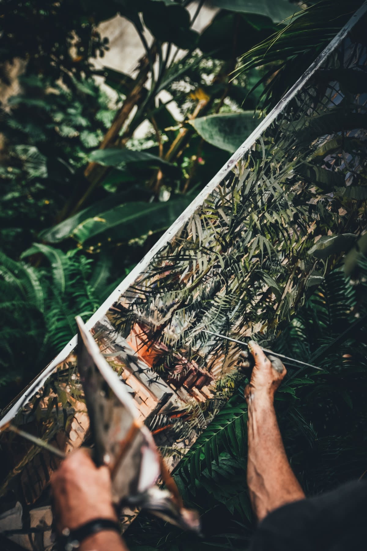 23 APRIL 2019 NATIONAL BOTANIC GARDENS OF IRELAND, DUBLIN Exotic Greens photo: Claudia Chiaro Photography