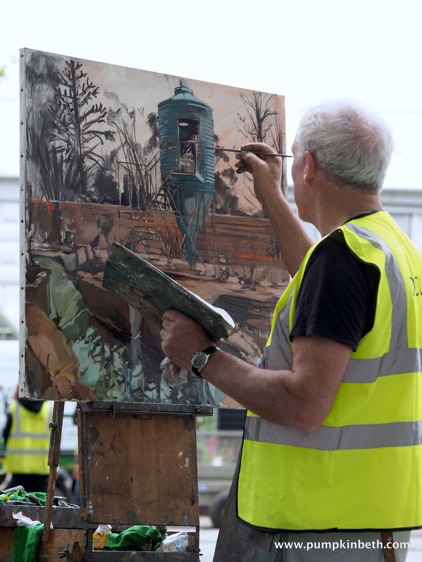 19 MAY 2019 CHELSEA FLOWER SHOW, LONDON The Resilience Garden, Designer: Sarah Eberle The Resilience Garden photo: Beth Otway / garden blog pumpkinbeth.com