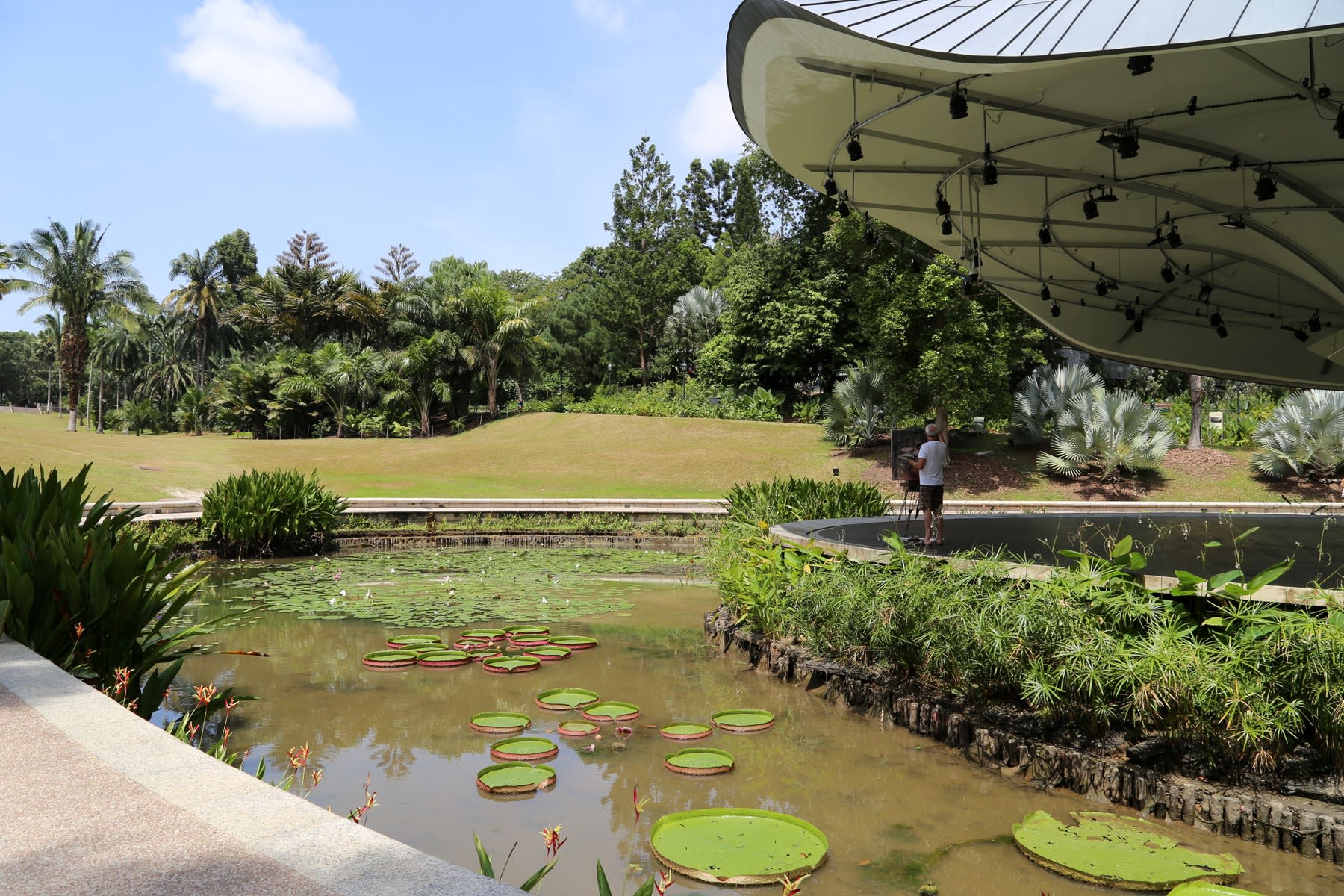 29 AUGUST 2019 SHAW FOUNDATION SYMPHONY STAGE, SINGAPORE BOTANIC GARDENS Victoria Water Lilies photo: Agata Byrne
